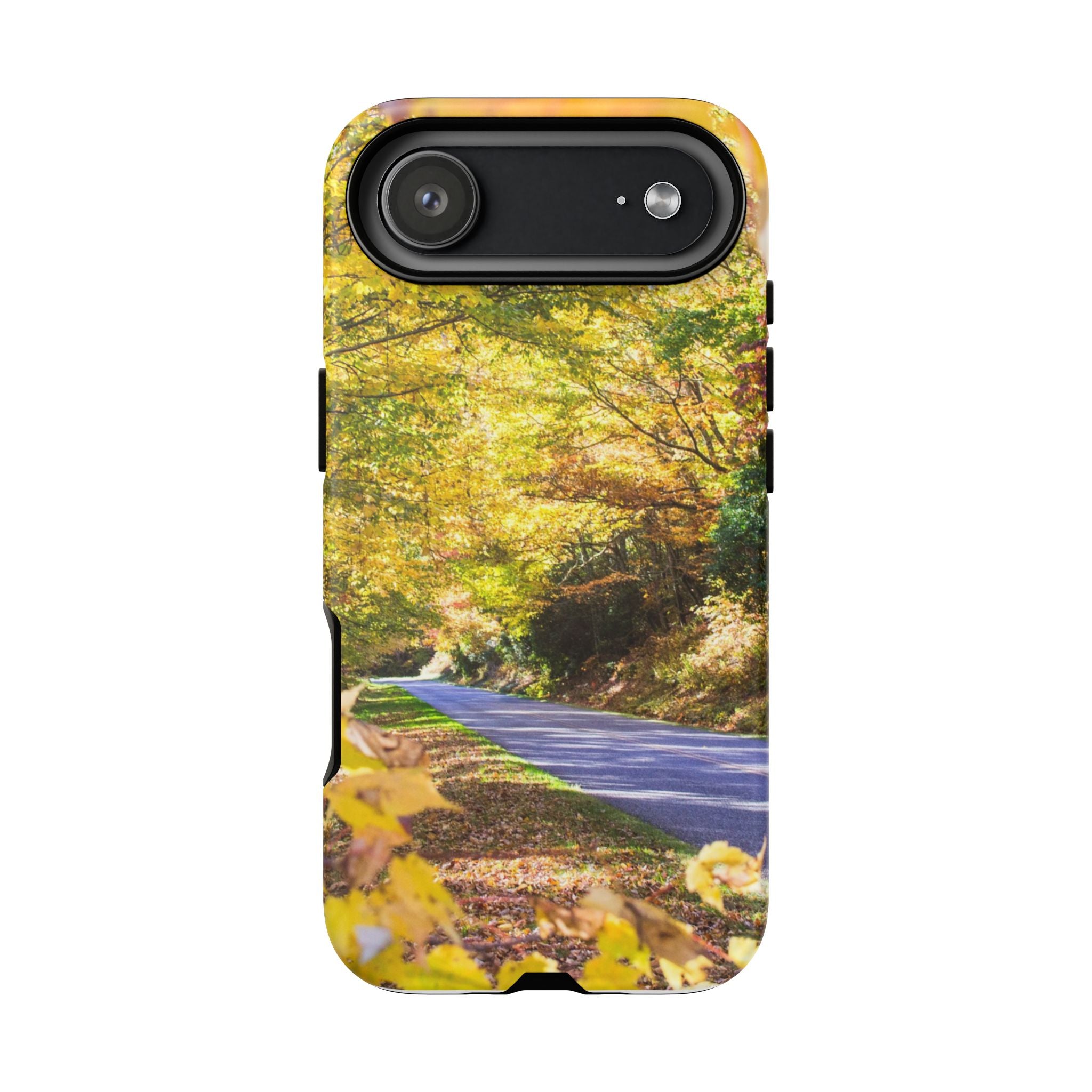 Autumn Landscape Phone Case - Nature Lover Gift, Fall Decor, Eco-Friendly Case, Phone Accessory for Hiking Enthusiasts