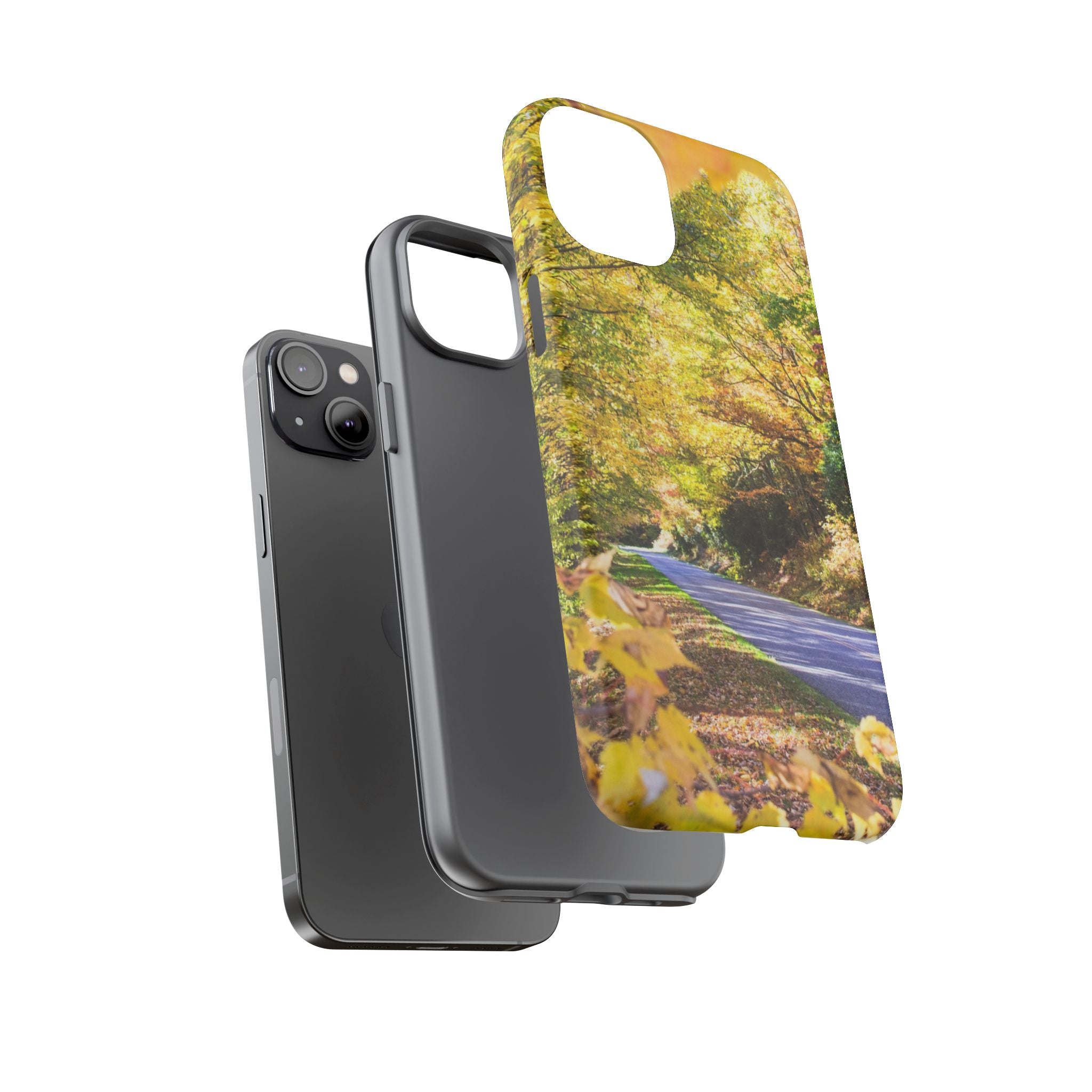Autumn Landscape Phone Case - Nature Lover Gift, Fall Decor, Eco-Friendly Case, Phone Accessory for Hiking Enthusiasts