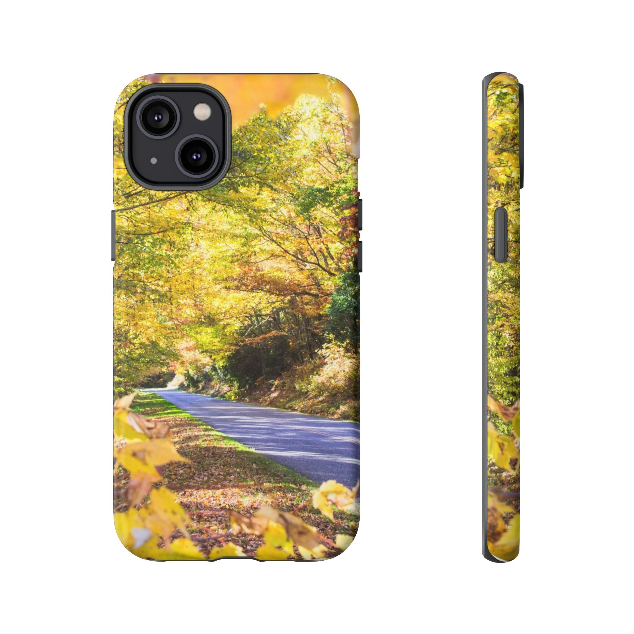 Autumn Landscape Phone Case - Nature Lover Gift, Fall Decor, Eco-Friendly Case, Phone Accessory for Hiking Enthusiasts