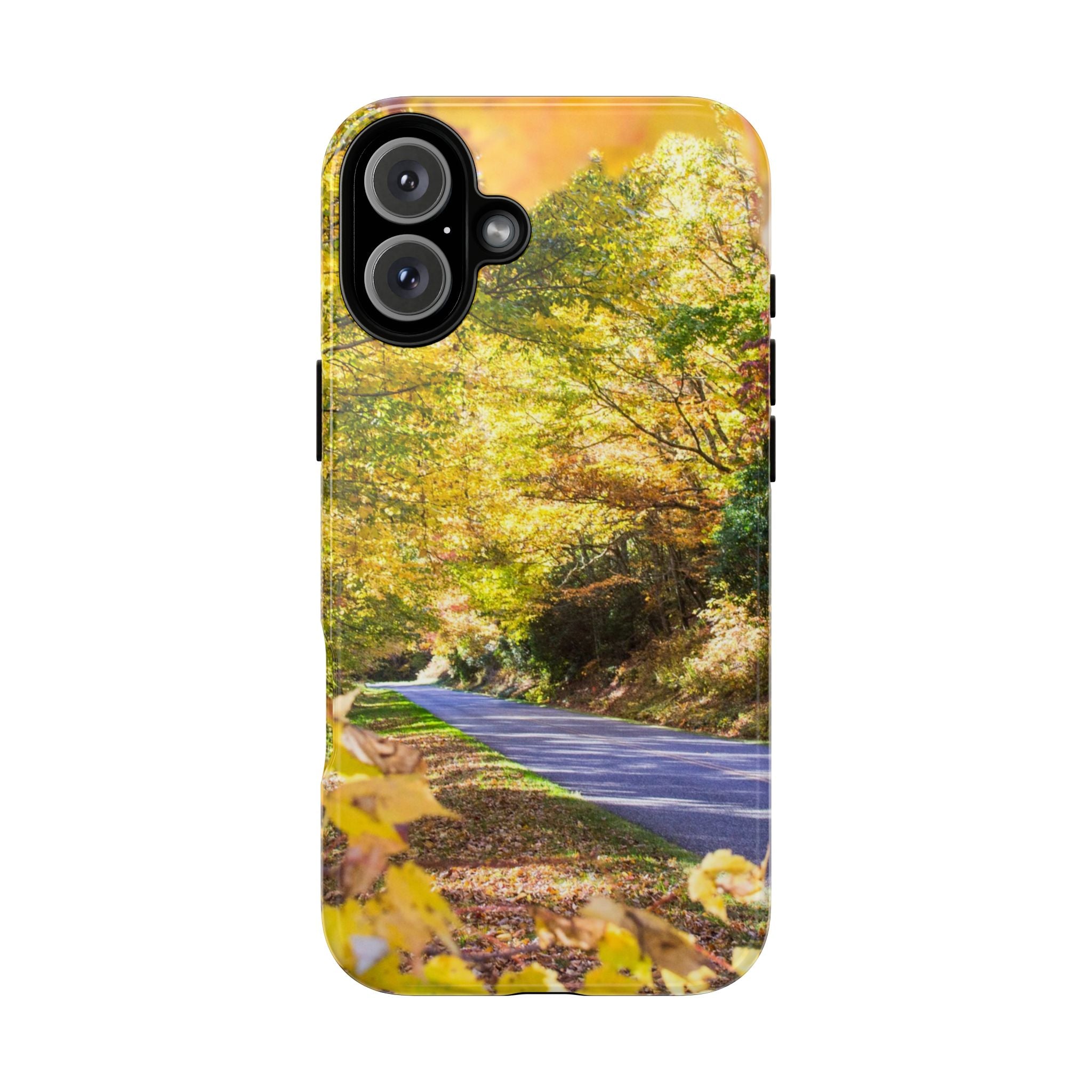 Autumn Landscape Phone Case - Nature Lover Gift, Fall Decor, Eco-Friendly Case, Phone Accessory for Hiking Enthusiasts