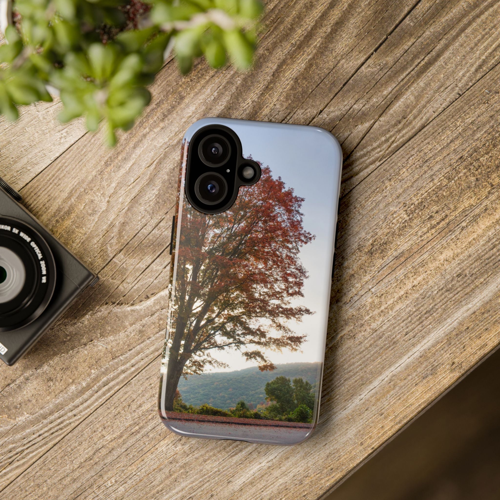Fall Tree Phone Case, Autumn Phone Cover, Nature Lover Gift, iPhone Case, Custom Tough Cases