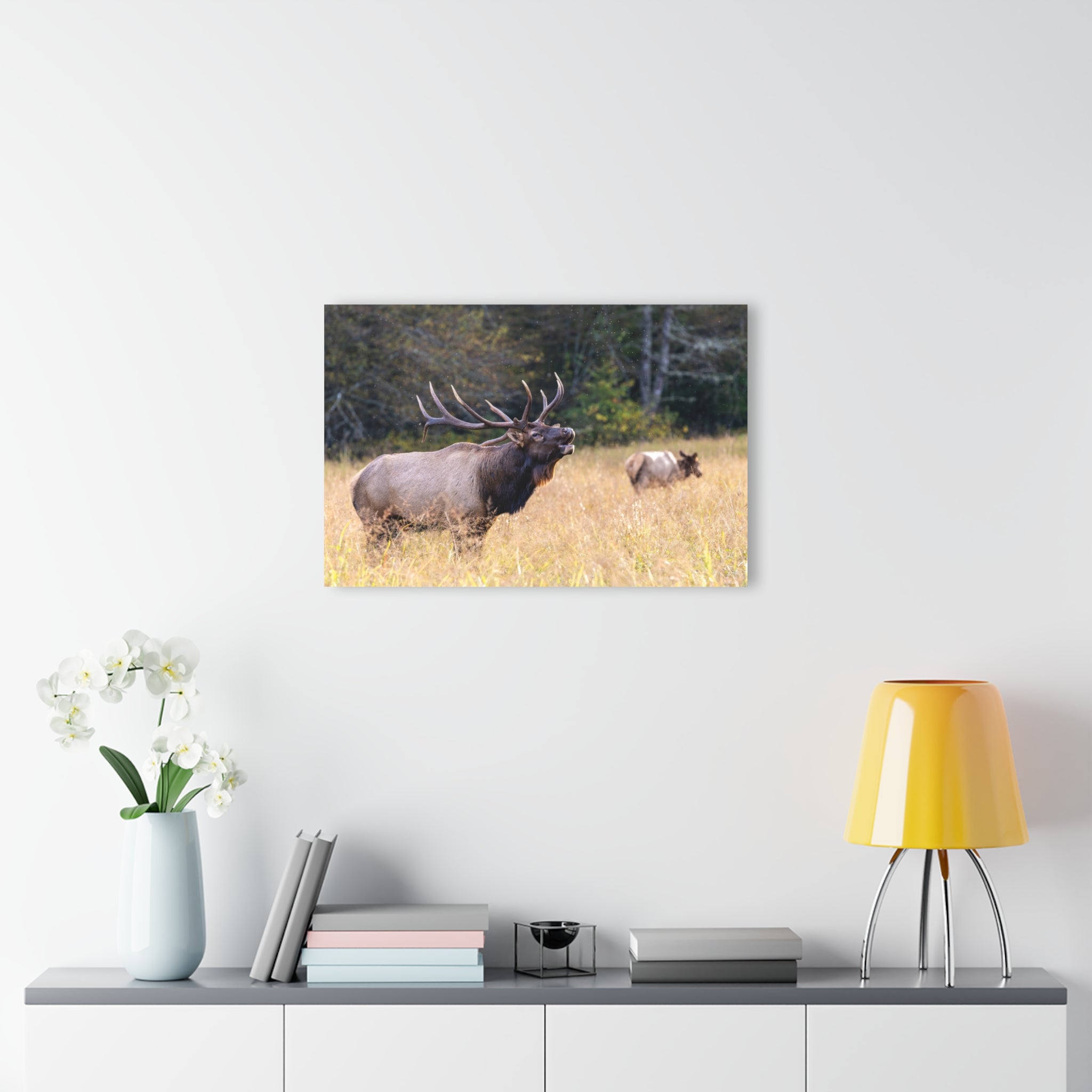 Nature-Inspired Acrylic Wall Art Print, Home Decor, Rustic Wall Art, Elk Photography, Wildlife Lover Gift, Wall Hanging Decoration