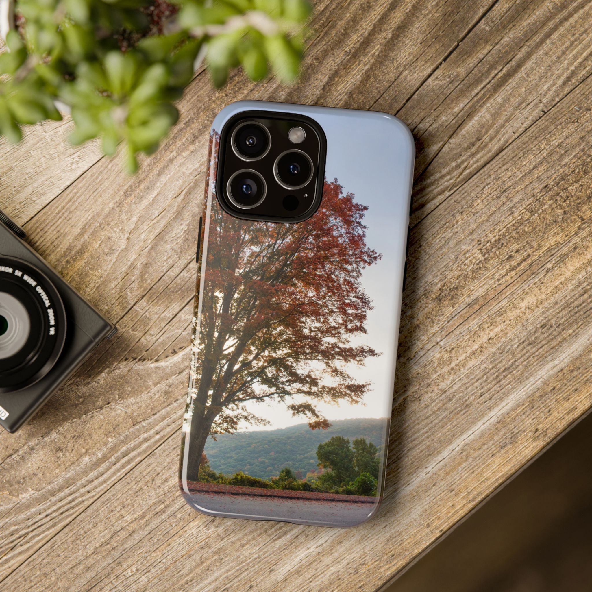 Fall Tree Phone Case, Autumn Phone Cover, Nature Lover Gift, iPhone Case, Custom Tough Cases