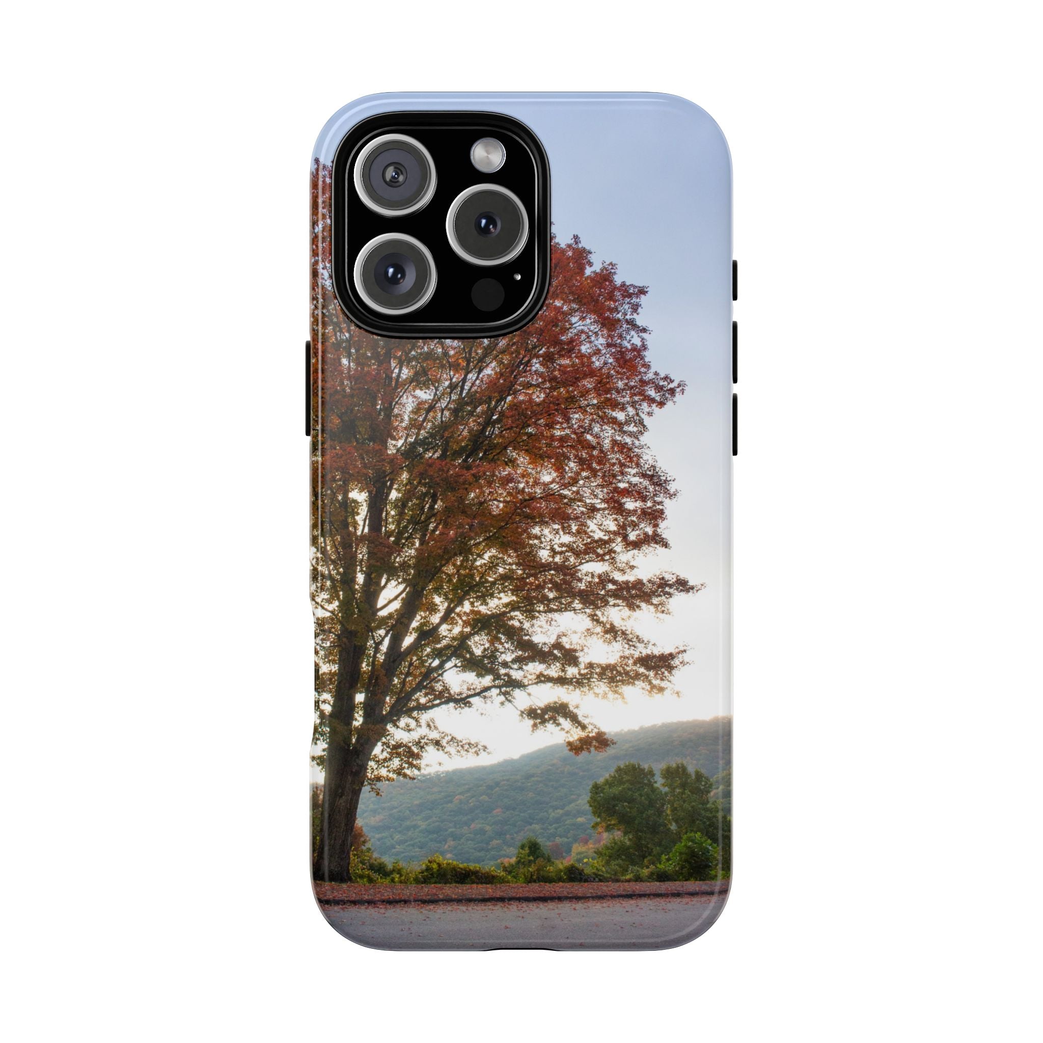 Fall Tree Phone Case, Autumn Phone Cover, Nature Lover Gift, iPhone Case, Custom Tough Cases