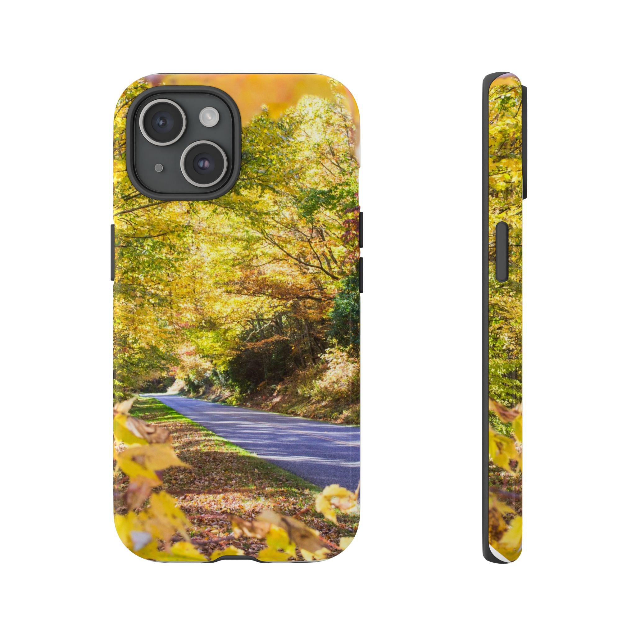 Autumn Landscape Phone Case - Nature Lover Gift, Fall Decor, Eco-Friendly Case, Phone Accessory for Hiking Enthusiasts
