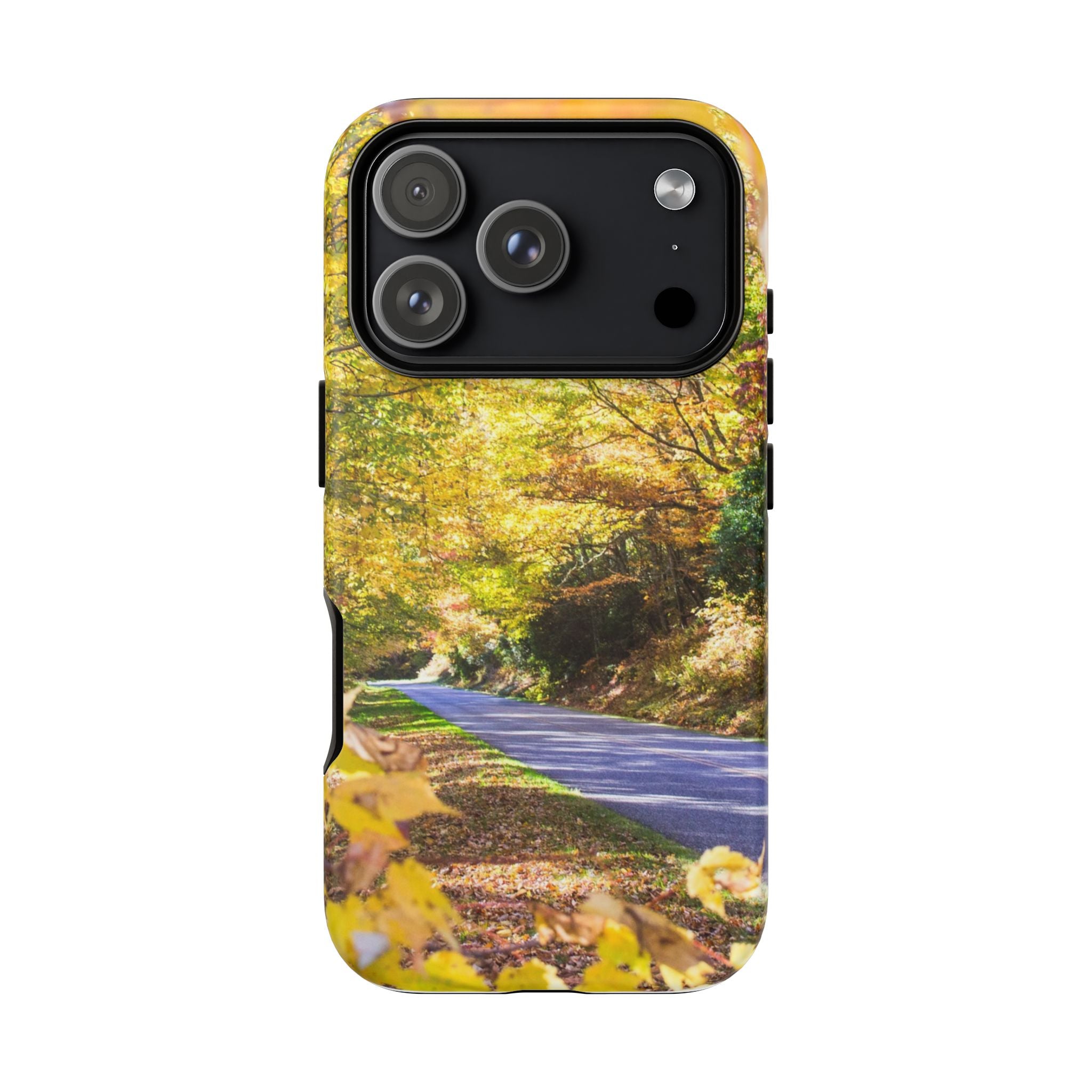 Autumn Landscape Phone Case - Nature Lover Gift, Fall Decor, Eco-Friendly Case, Phone Accessory for Hiking Enthusiasts