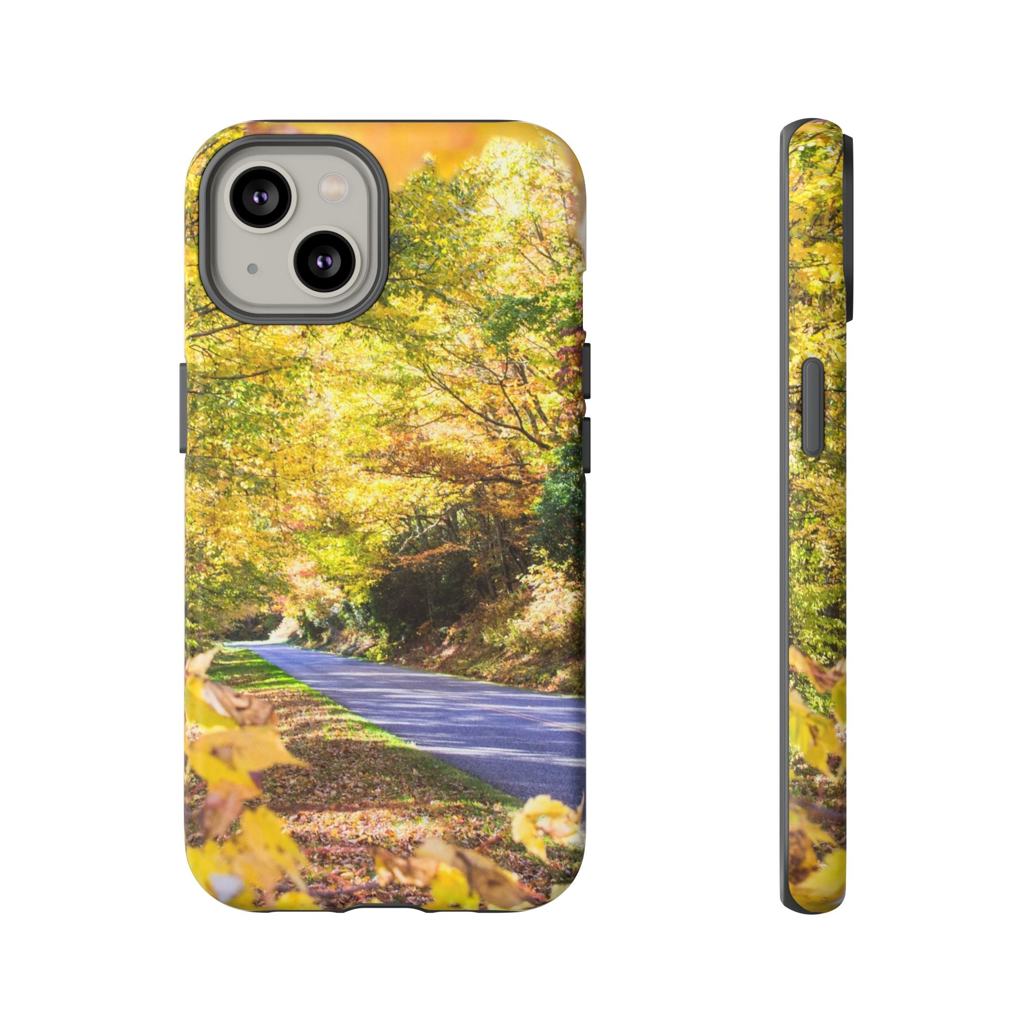 Autumn Landscape Phone Case - Nature Lover Gift, Fall Decor, Eco-Friendly Case, Phone Accessory for Hiking Enthusiasts