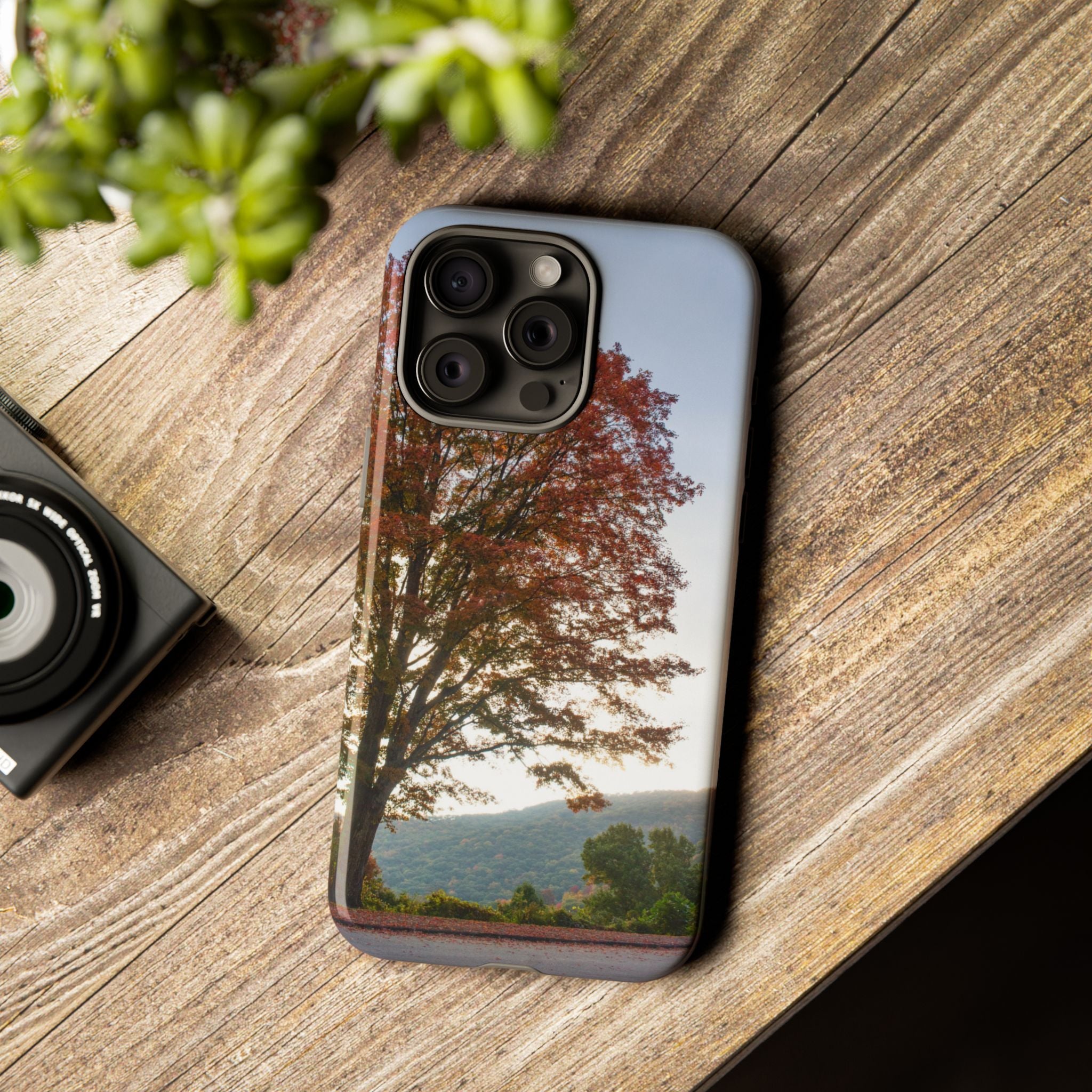 Fall Tree Phone Case, Autumn Phone Cover, Nature Lover Gift, iPhone Case, Custom Tough Cases