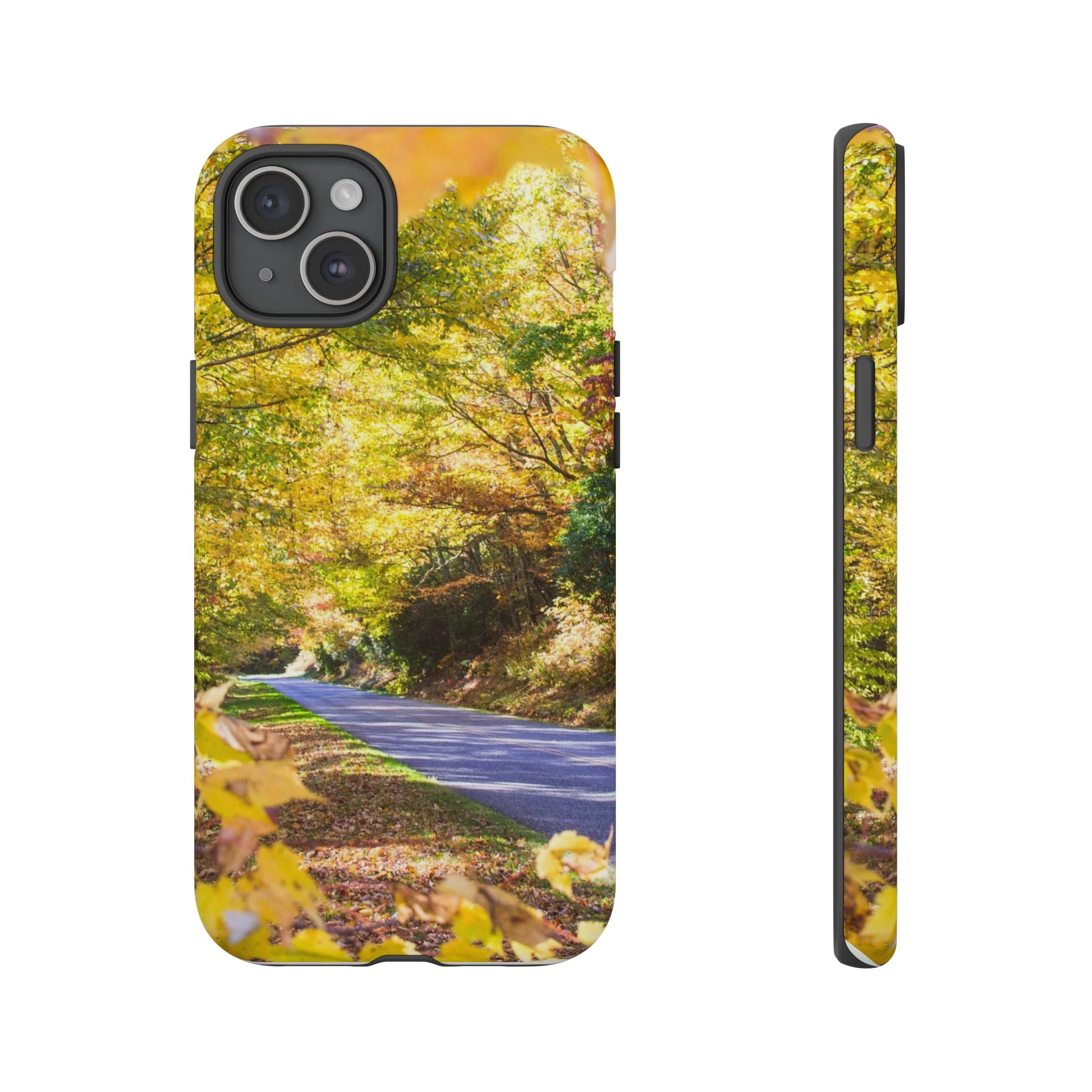 Autumn Landscape Phone Case - Nature Lover Gift, Fall Decor, Eco-Friendly Case, Phone Accessory for Hiking Enthusiasts