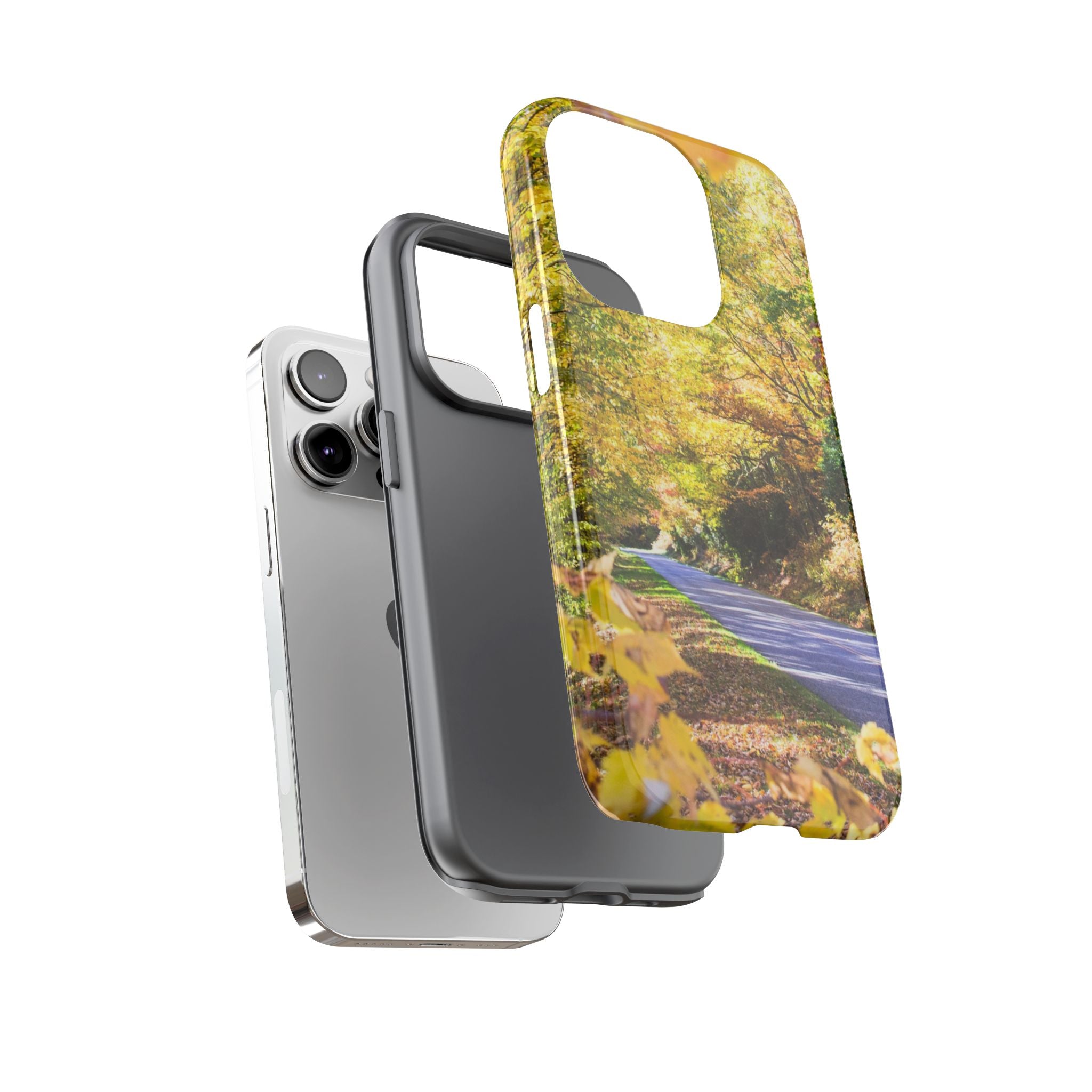 Autumn Landscape Phone Case - Nature Lover Gift, Fall Decor, Eco-Friendly Case, Phone Accessory for Hiking Enthusiasts