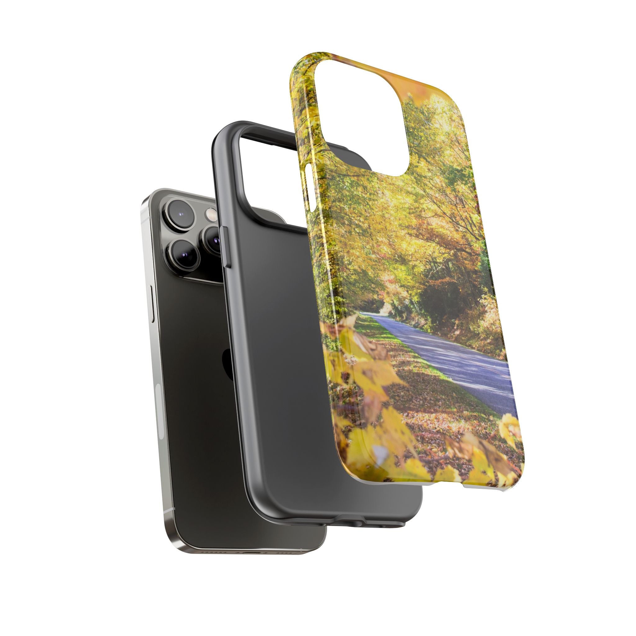 Autumn Landscape Phone Case - Nature Lover Gift, Fall Decor, Eco-Friendly Case, Phone Accessory for Hiking Enthusiasts