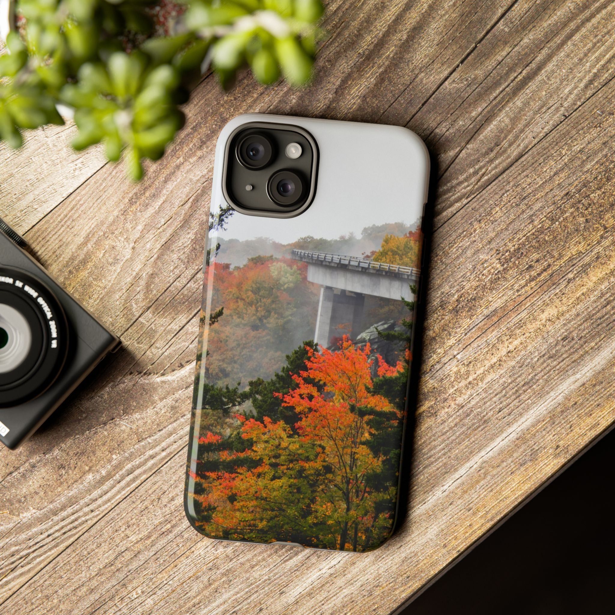 Autumn Landscape Phone Case, Fall Phone Cover, Tough Cases, Nature Lover Gift, Seasonal Decor