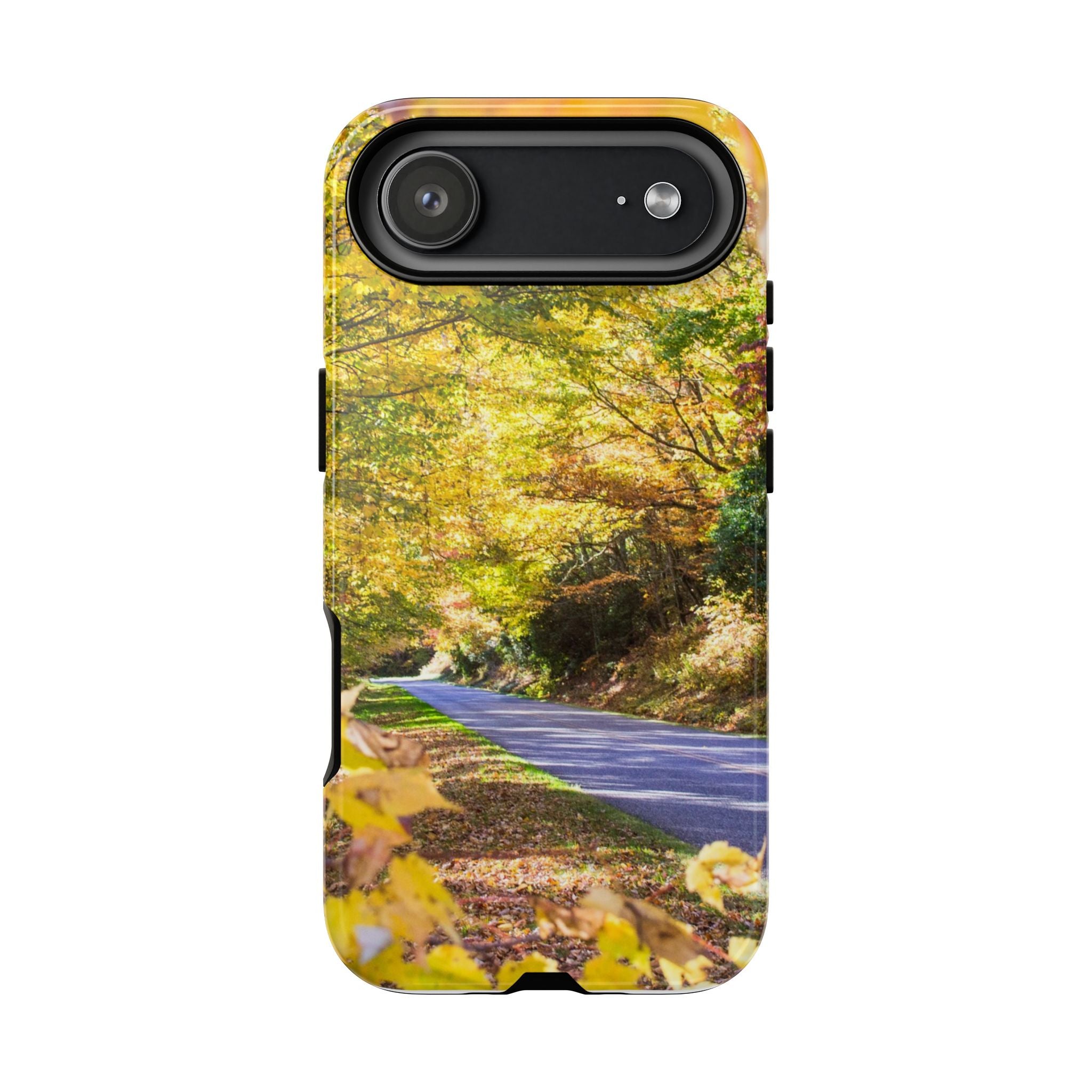 Autumn Landscape Phone Case - Nature Lover Gift, Fall Decor, Eco-Friendly Case, Phone Accessory for Hiking Enthusiasts