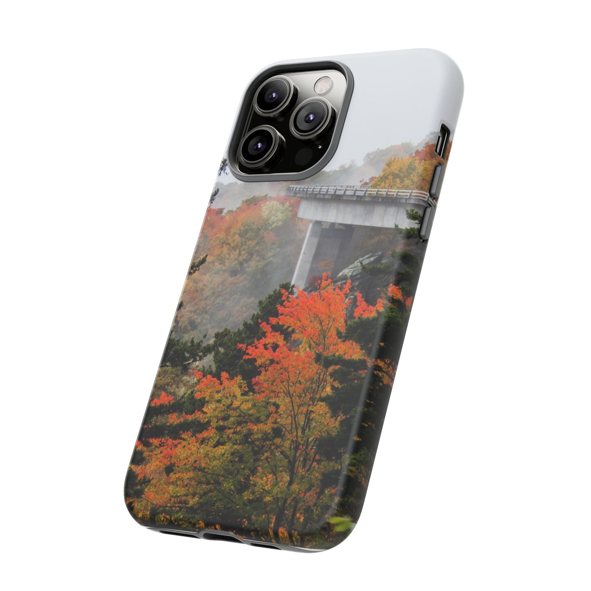 Autumn Landscape Phone Case, Fall Phone Cover, Tough Cases, Nature Lover Gift, Seasonal Decor
