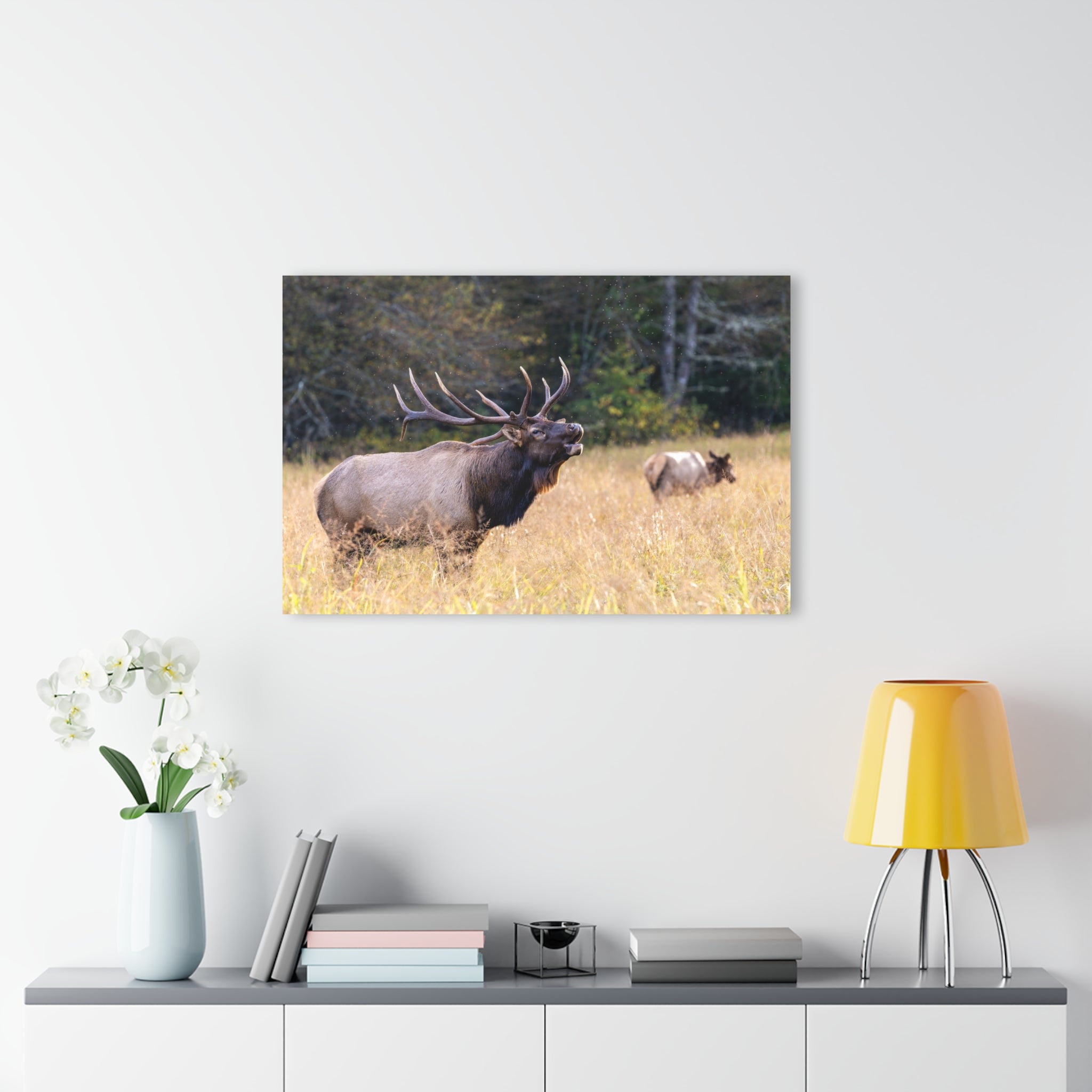 Nature-Inspired Acrylic Wall Art Print, Home Decor, Rustic Wall Art, Elk Photography, Wildlife Lover Gift, Wall Hanging Decoration