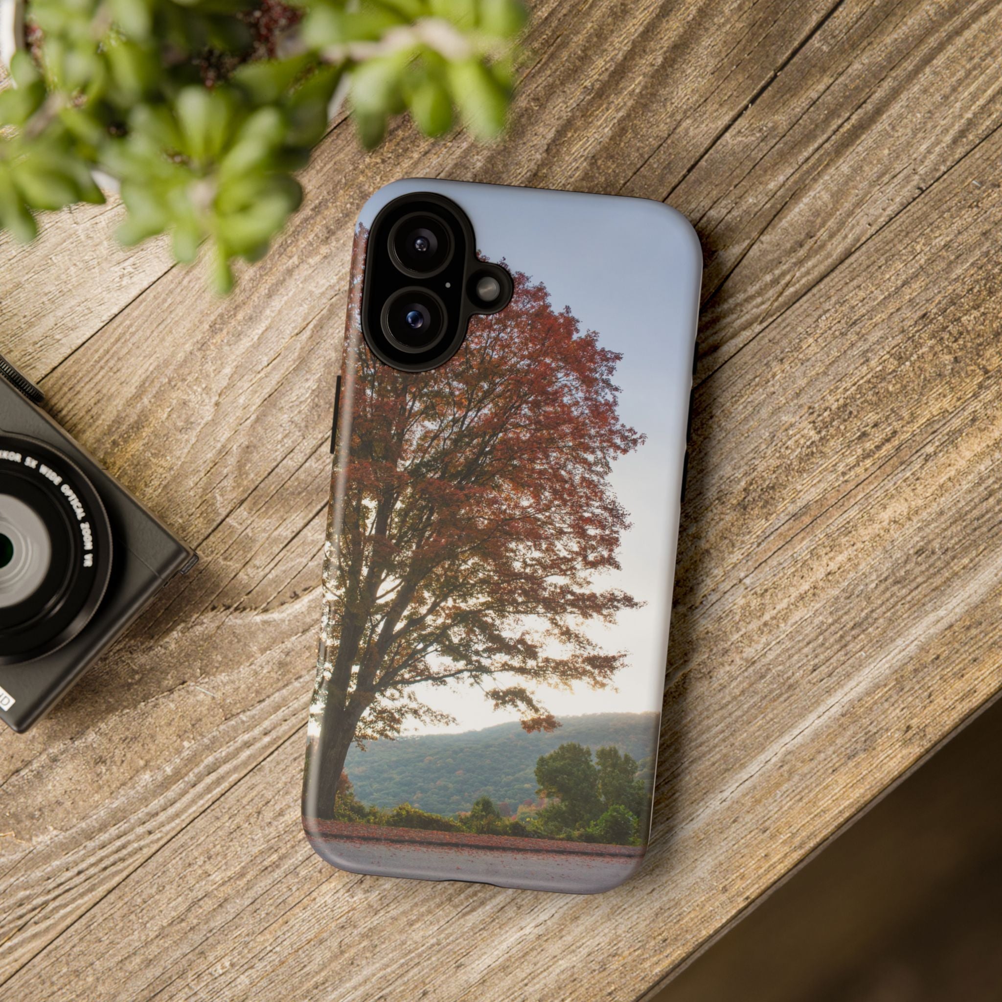 Fall Tree Phone Case, Autumn Phone Cover, Nature Lover Gift, iPhone Case, Custom Tough Cases