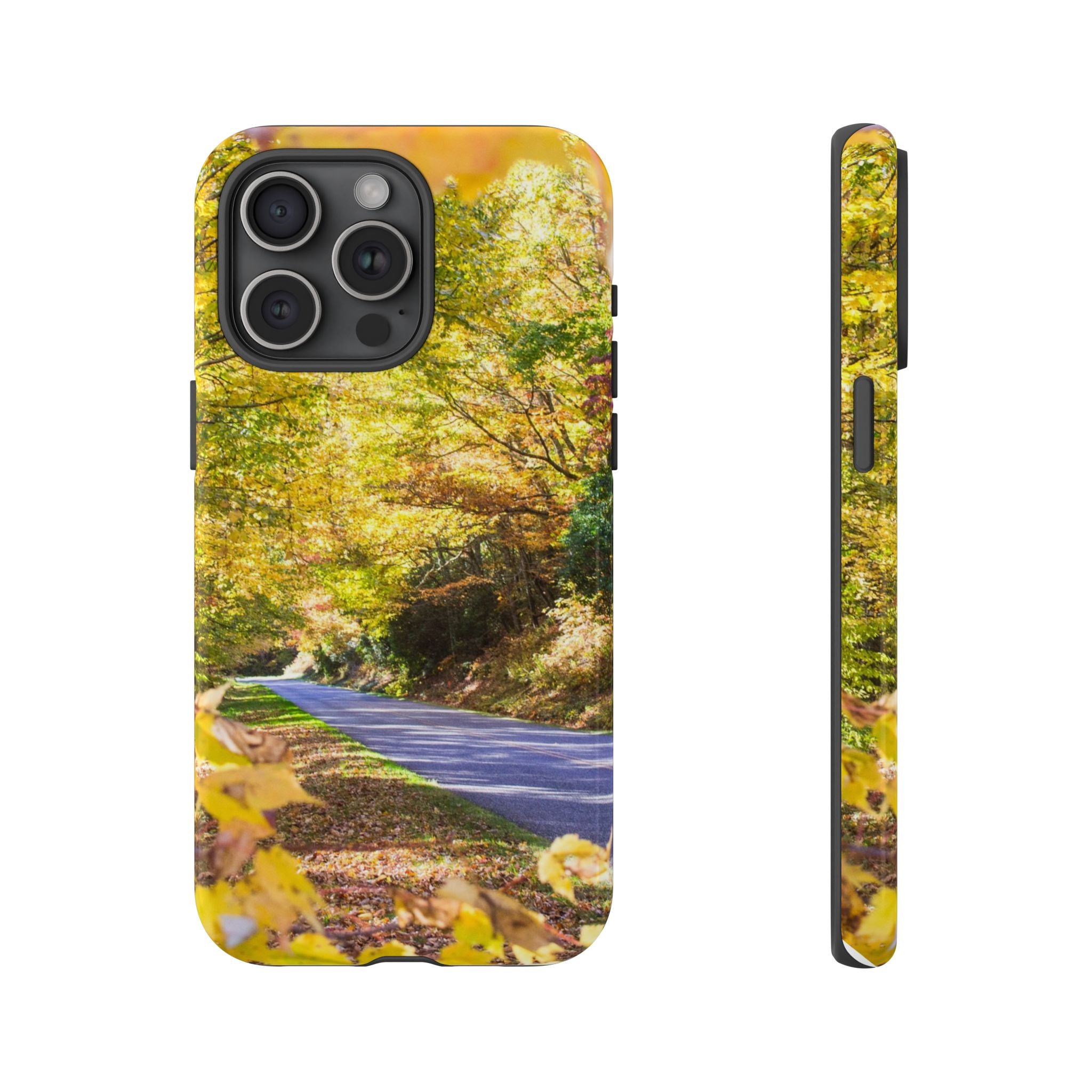 Autumn Landscape Phone Case - Nature Lover Gift, Fall Decor, Eco-Friendly Case, Phone Accessory for Hiking Enthusiasts