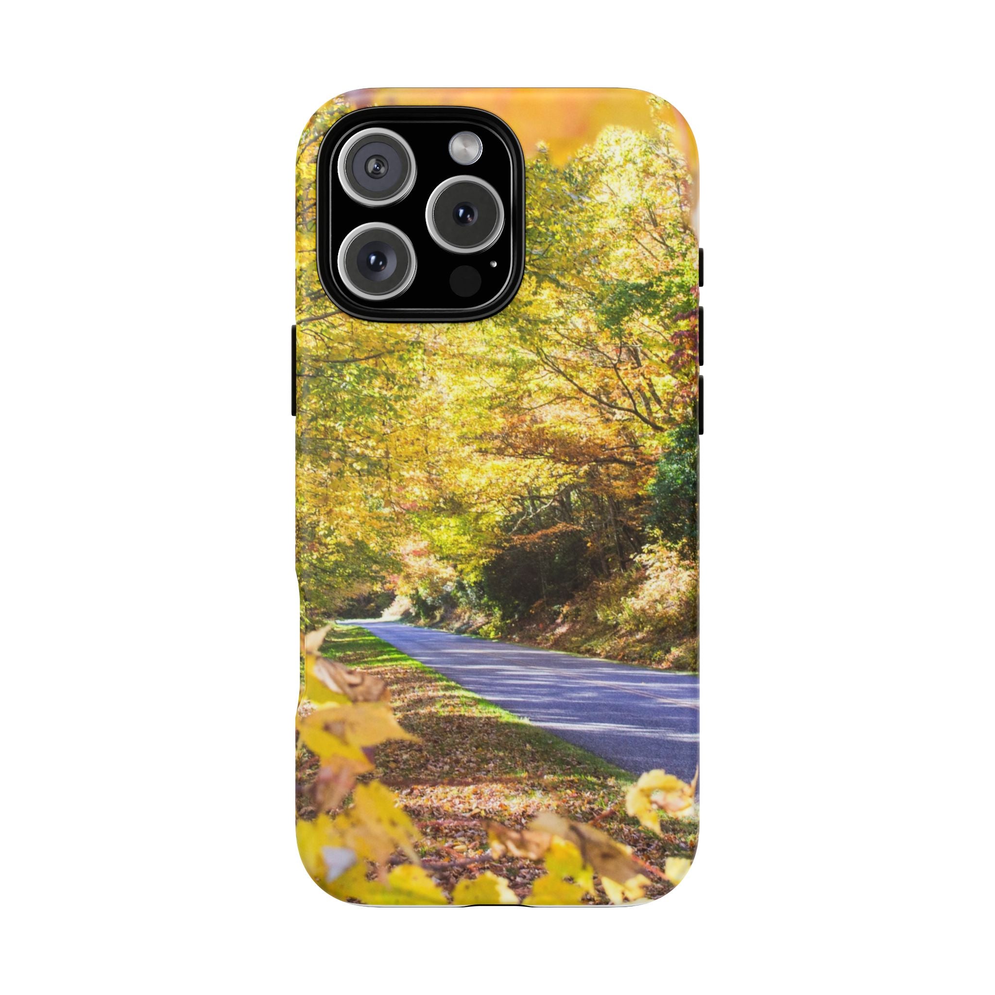 Autumn Landscape Phone Case - Nature Lover Gift, Fall Decor, Eco-Friendly Case, Phone Accessory for Hiking Enthusiasts