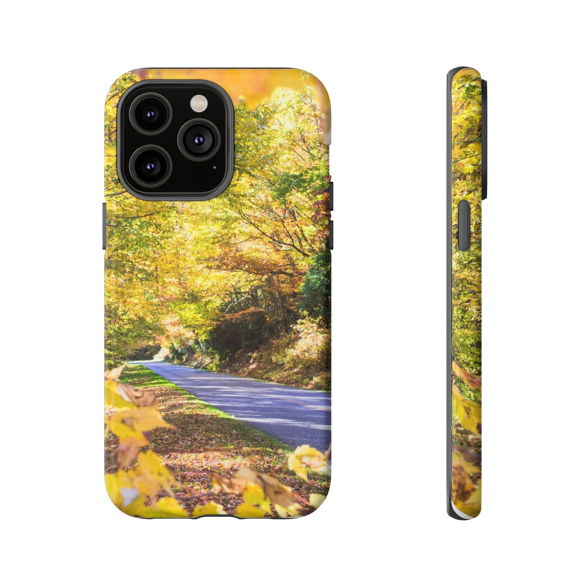 Autumn Landscape Phone Case - Nature Lover Gift, Fall Decor, Eco-Friendly Case, Phone Accessory for Hiking Enthusiasts