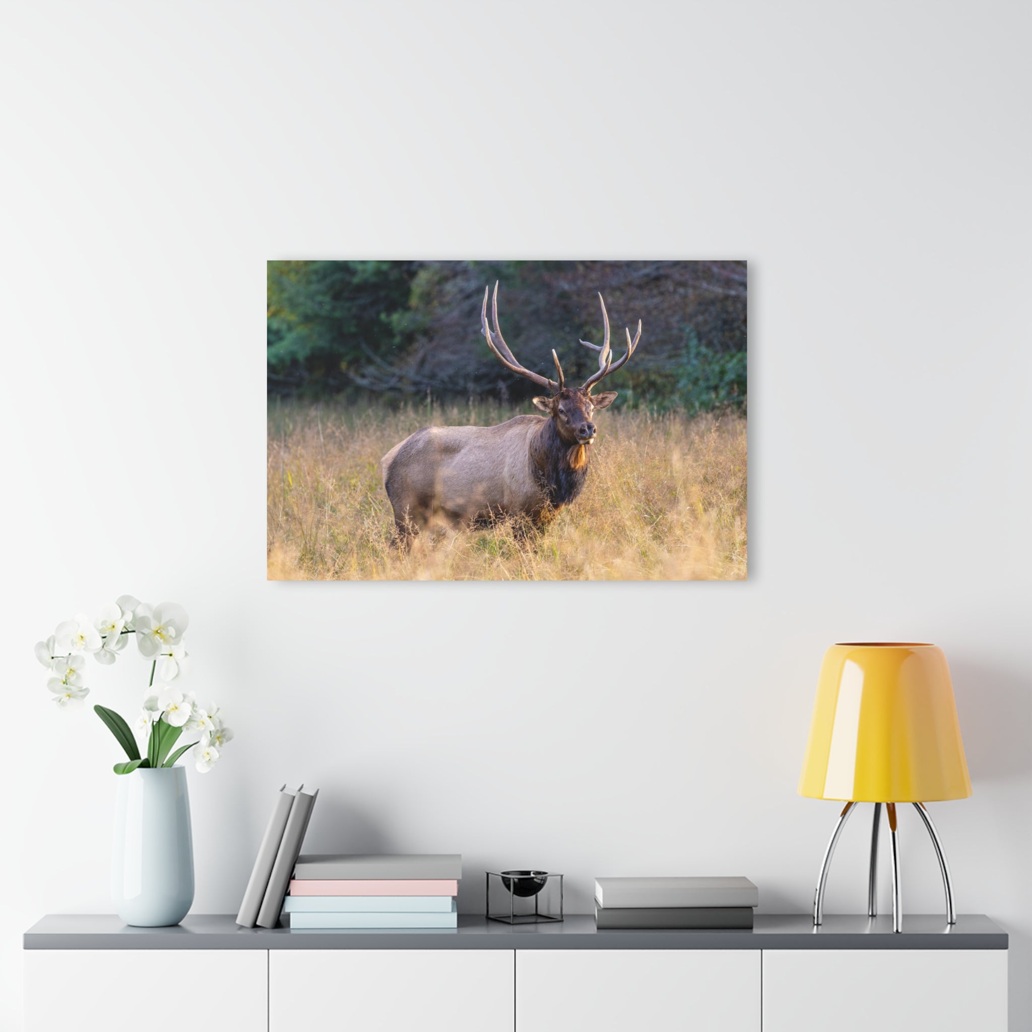 Stunning Acrylic Wall Art Print, Nature Decor, Elk Photography, Rustic Home Decor, Animal Wall Art, Gift for Nature Lovers
