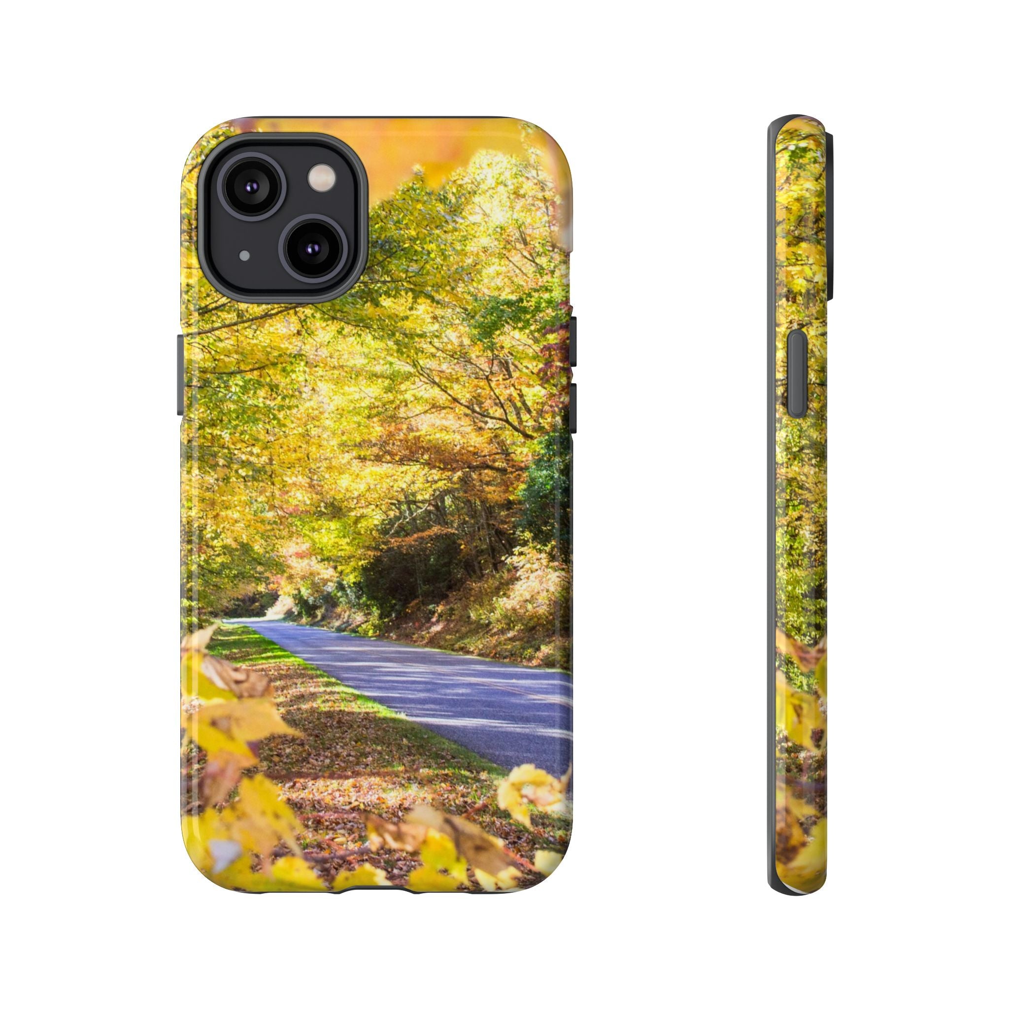 Autumn Landscape Phone Case - Nature Lover Gift, Fall Decor, Eco-Friendly Case, Phone Accessory for Hiking Enthusiasts