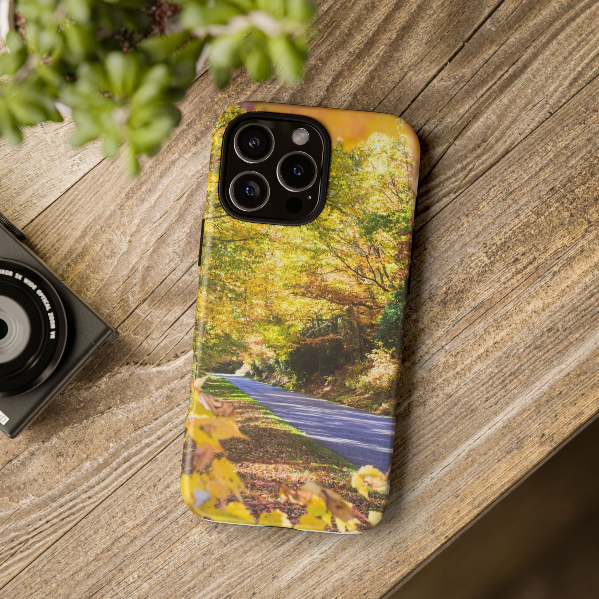 Autumn Landscape Phone Case - Nature Lover Gift, Fall Decor, Eco-Friendly Case, Phone Accessory for Hiking Enthusiasts