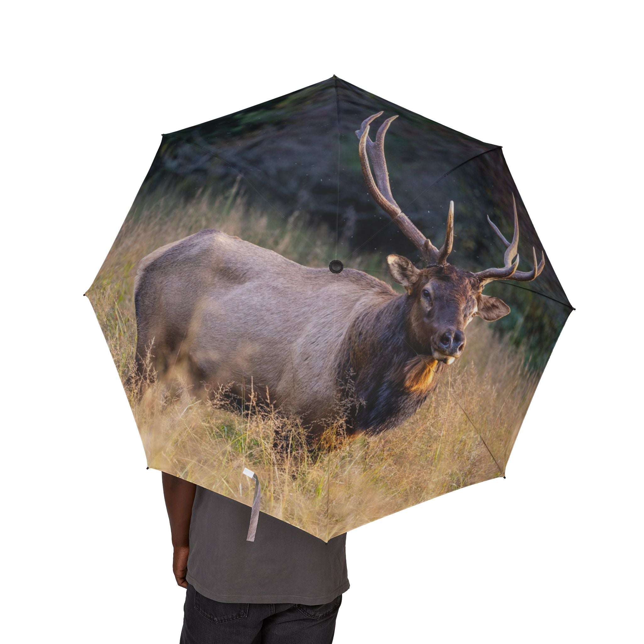 Nature-Inspired Folding Umbrella, Outdoor Gear for Rainy Days, Gift for Nature Lovers, Compact Travel Umbrella, Wildlife Print Umbrella