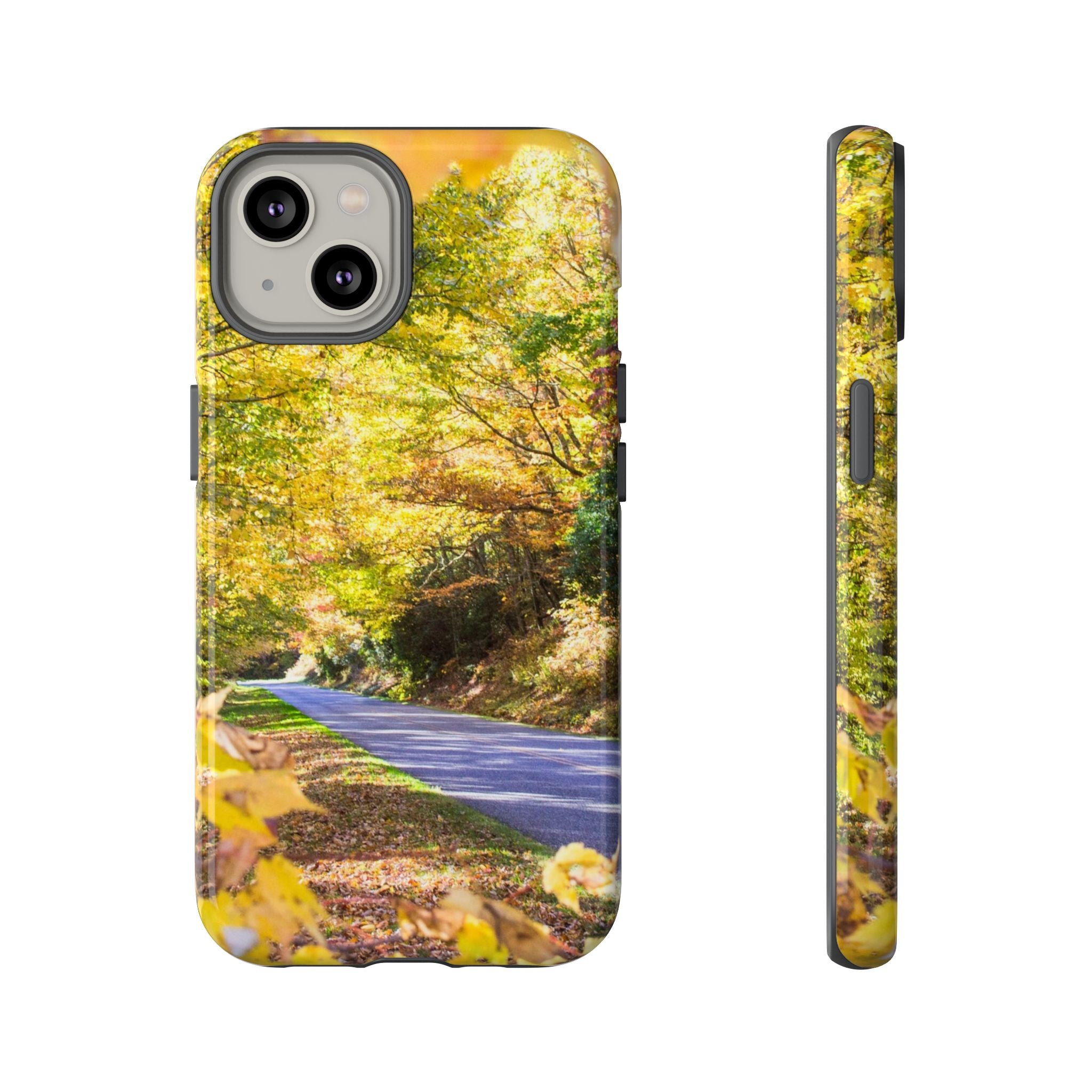 Autumn Landscape Phone Case - Nature Lover Gift, Fall Decor, Eco-Friendly Case, Phone Accessory for Hiking Enthusiasts