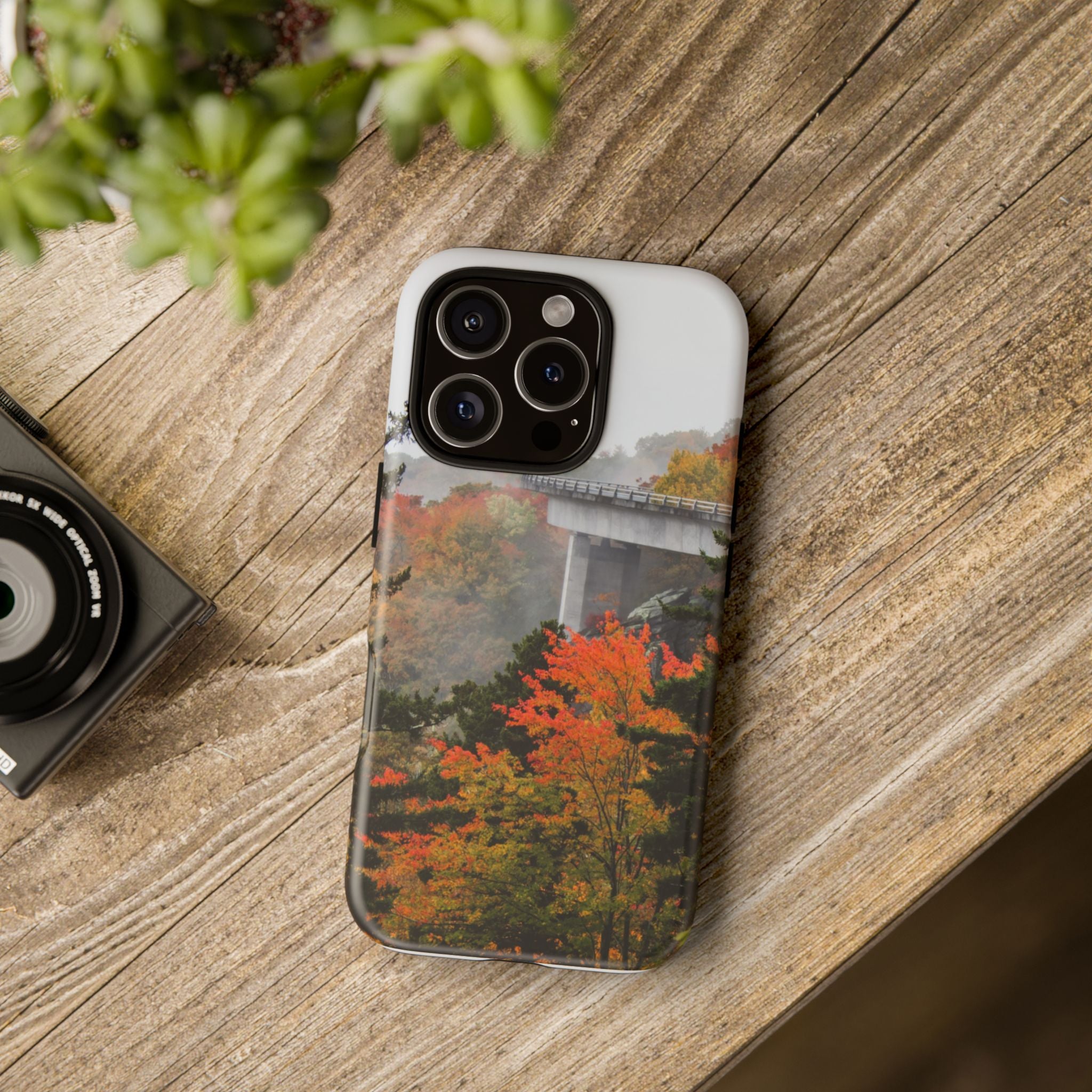 Autumn Landscape Phone Case, Fall Phone Cover, Tough Cases, Nature Lover Gift, Seasonal Decor