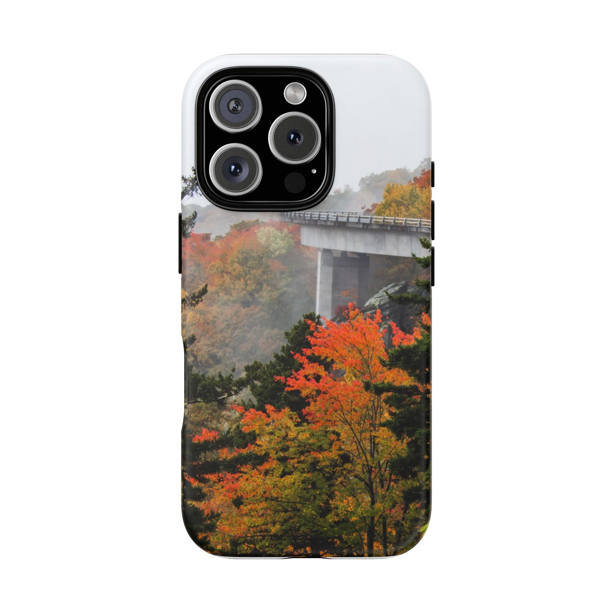 Autumn Landscape Phone Case, Fall Phone Cover, Tough Cases, Nature Lover Gift, Seasonal Decor