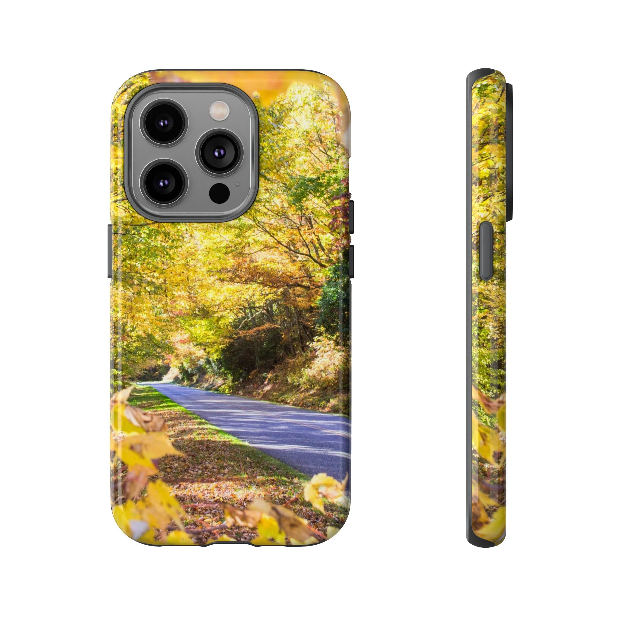 Autumn Landscape Phone Case - Nature Lover Gift, Fall Decor, Eco-Friendly Case, Phone Accessory for Hiking Enthusiasts
