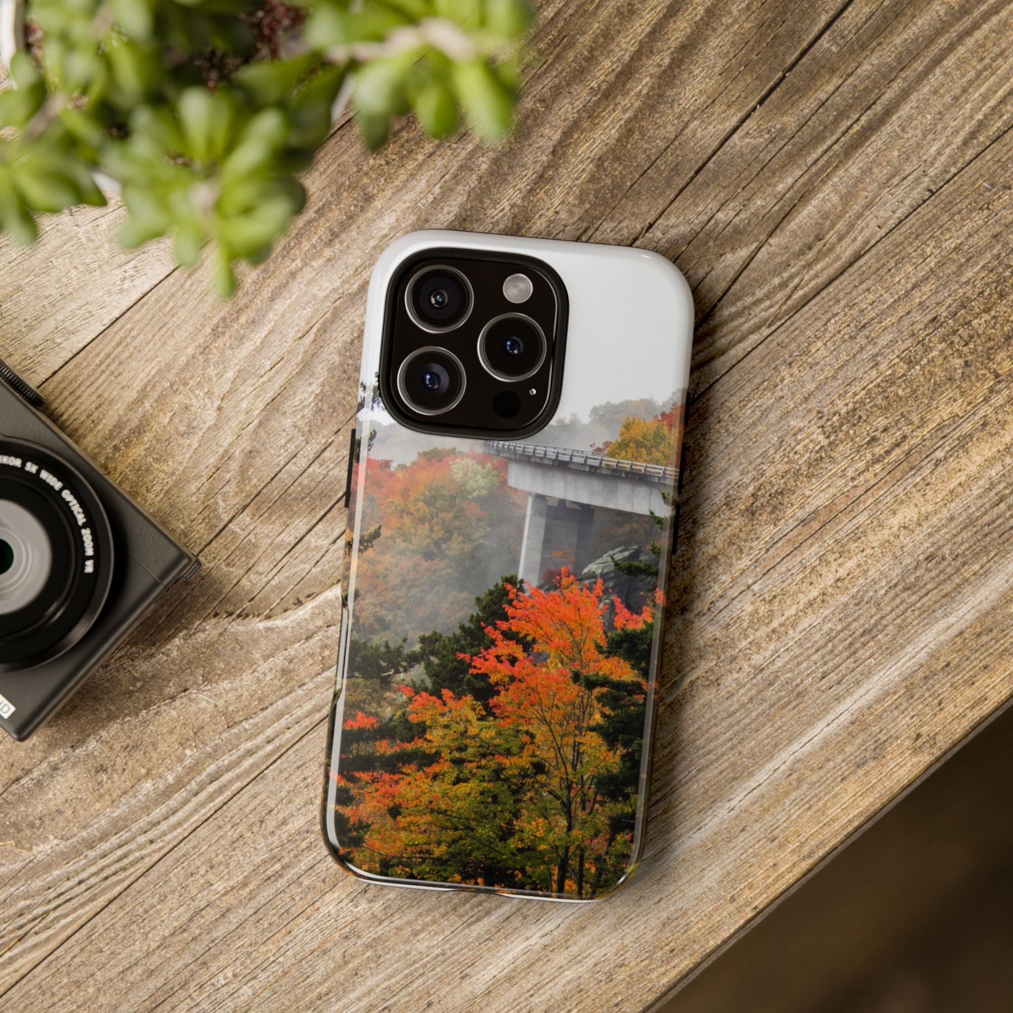 Autumn Landscape Phone Case, Fall Phone Cover, Tough Cases, Nature Lover Gift, Seasonal Decor