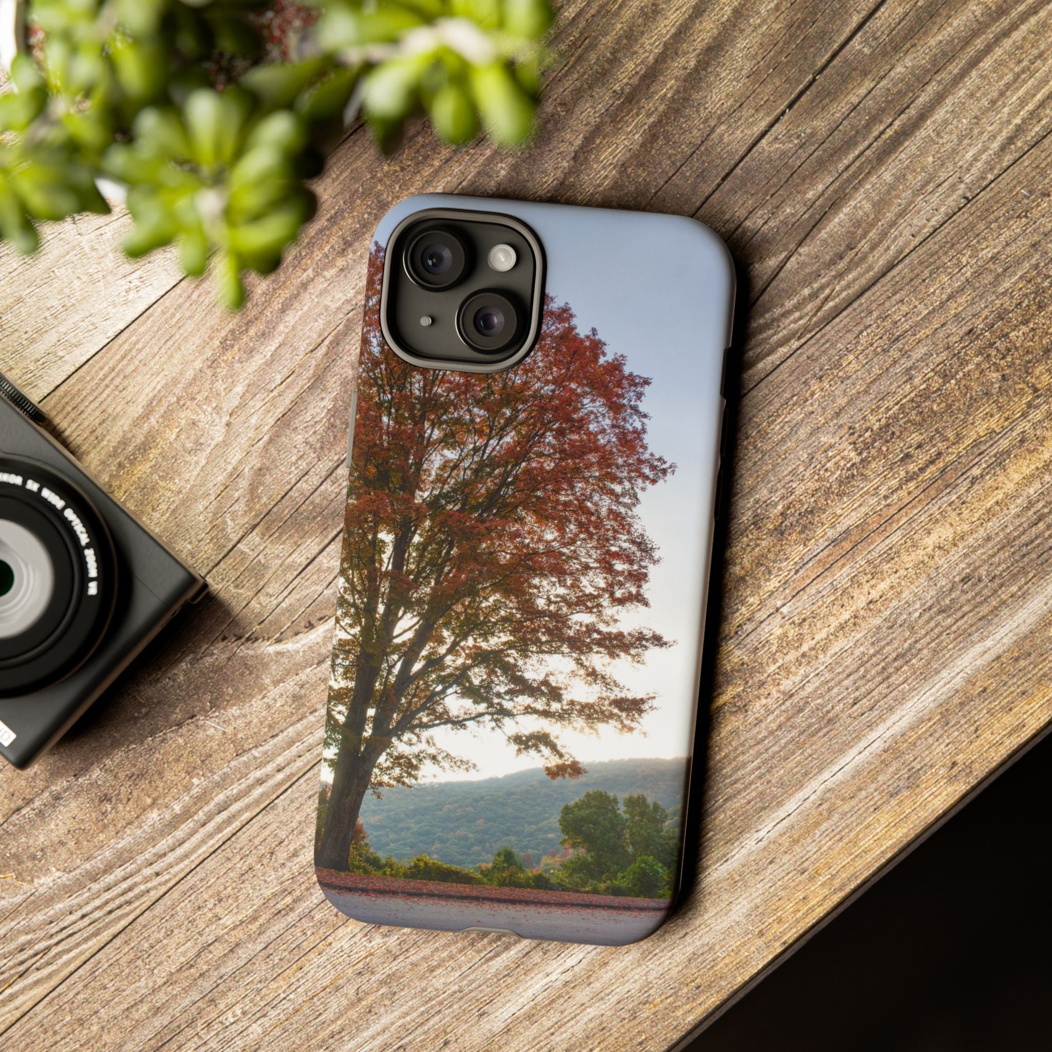 Fall Tree Phone Case, Autumn Phone Cover, Nature Lover Gift, iPhone Case, Custom Tough Cases