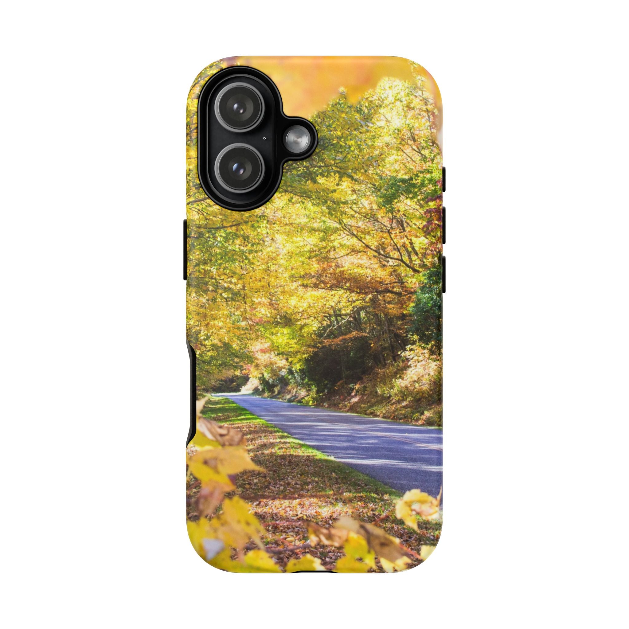 Autumn Landscape Phone Case - Nature Lover Gift, Fall Decor, Eco-Friendly Case, Phone Accessory for Hiking Enthusiasts