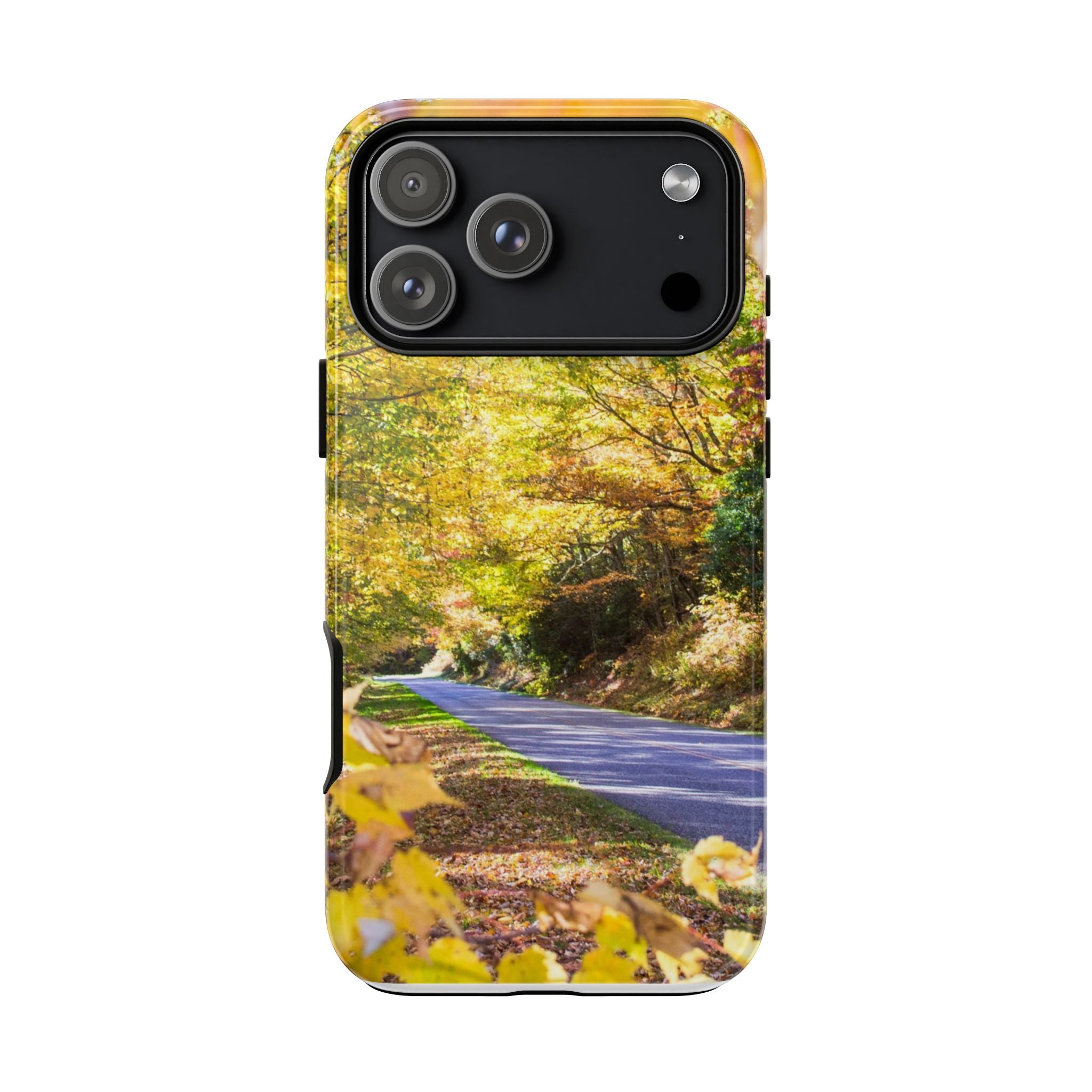 Autumn Landscape Phone Case - Nature Lover Gift, Fall Decor, Eco-Friendly Case, Phone Accessory for Hiking Enthusiasts