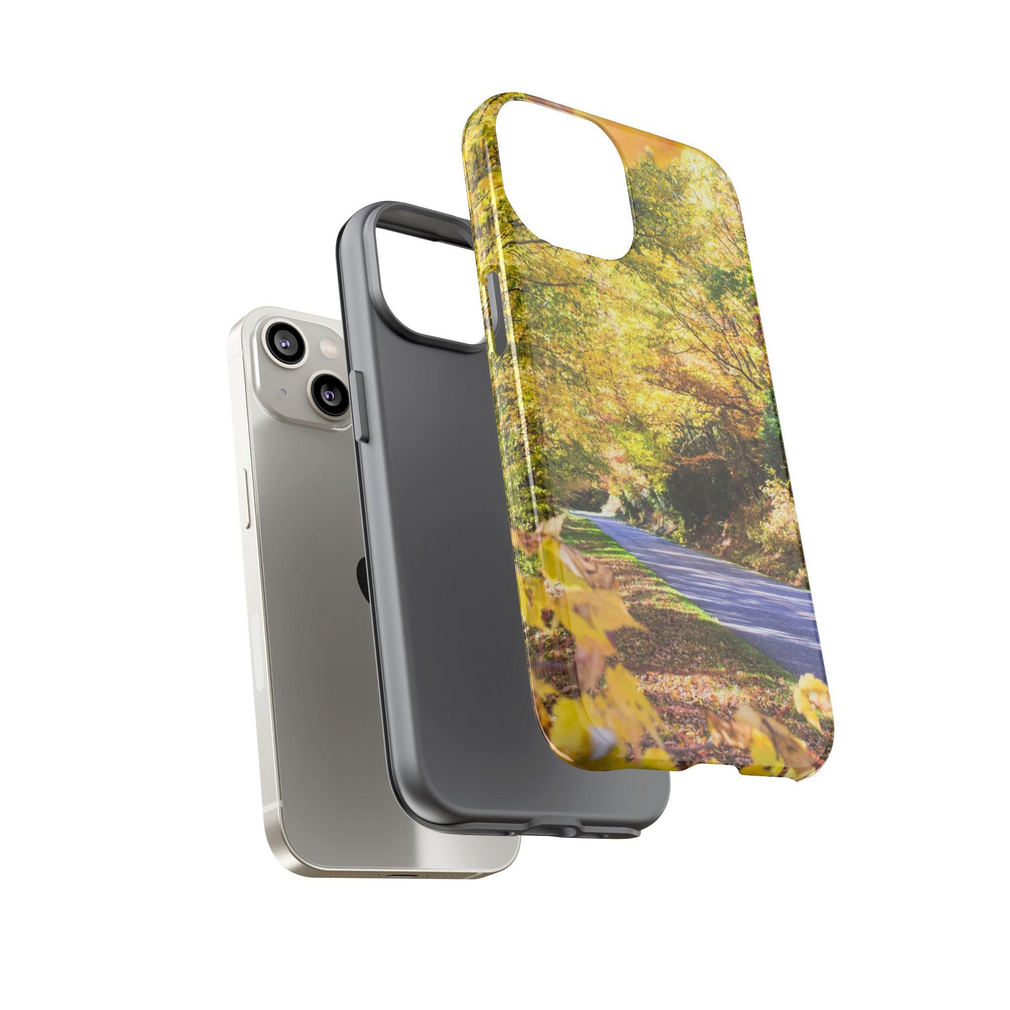 Autumn Landscape Phone Case - Nature Lover Gift, Fall Decor, Eco-Friendly Case, Phone Accessory for Hiking Enthusiasts