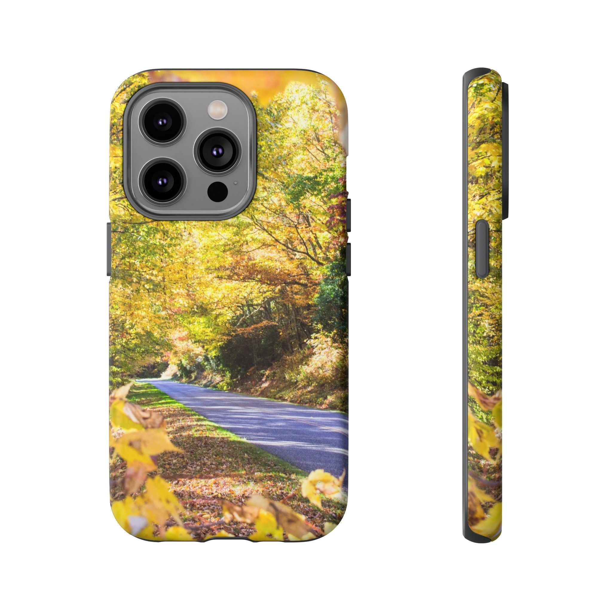 Autumn Landscape Phone Case - Nature Lover Gift, Fall Decor, Eco-Friendly Case, Phone Accessory for Hiking Enthusiasts