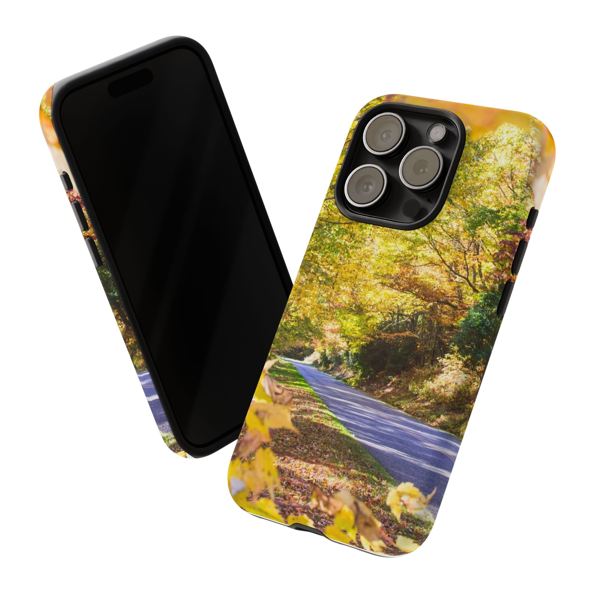 Autumn Landscape Phone Case - Nature Lover Gift, Fall Decor, Eco-Friendly Case, Phone Accessory for Hiking Enthusiasts