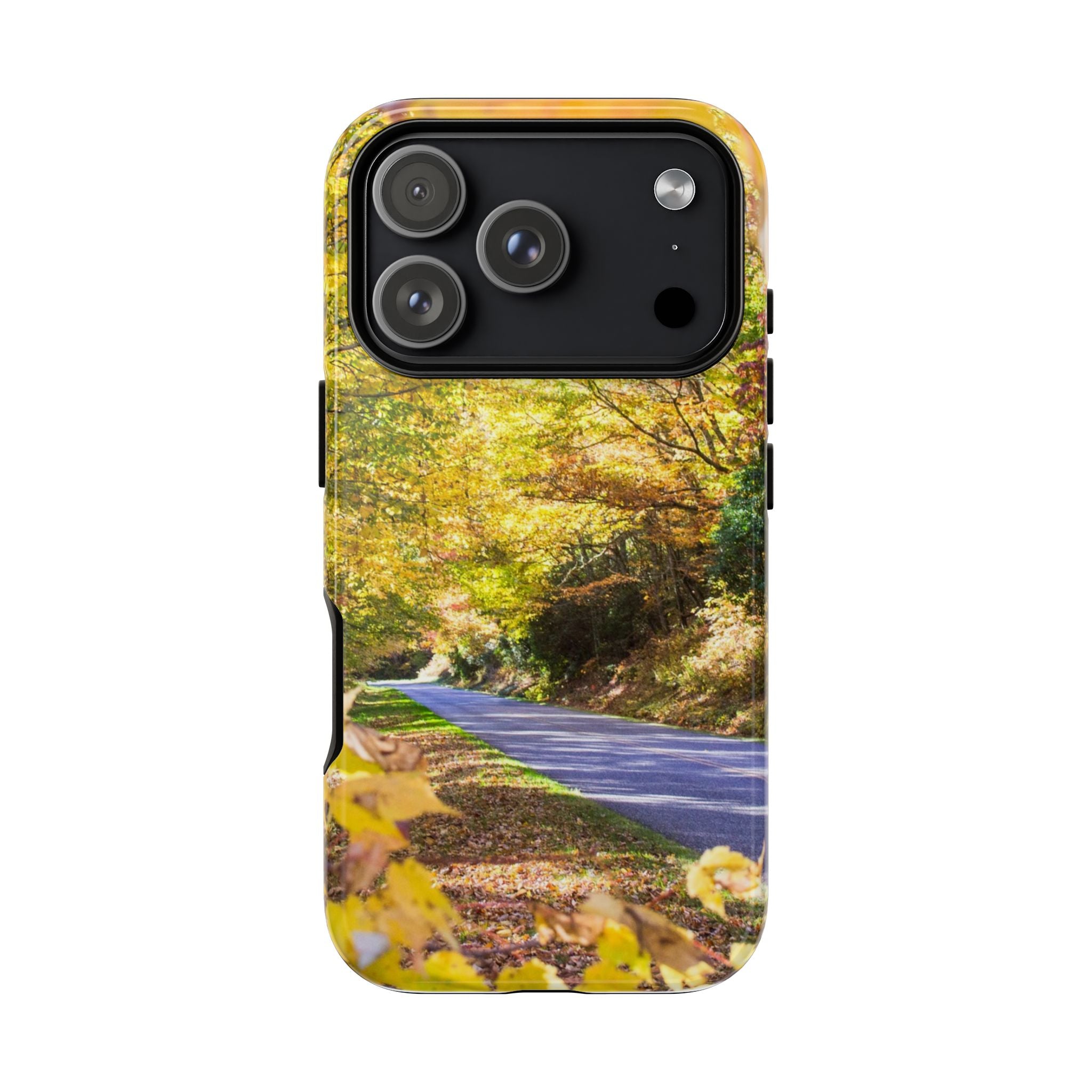 Autumn Landscape Phone Case - Nature Lover Gift, Fall Decor, Eco-Friendly Case, Phone Accessory for Hiking Enthusiasts