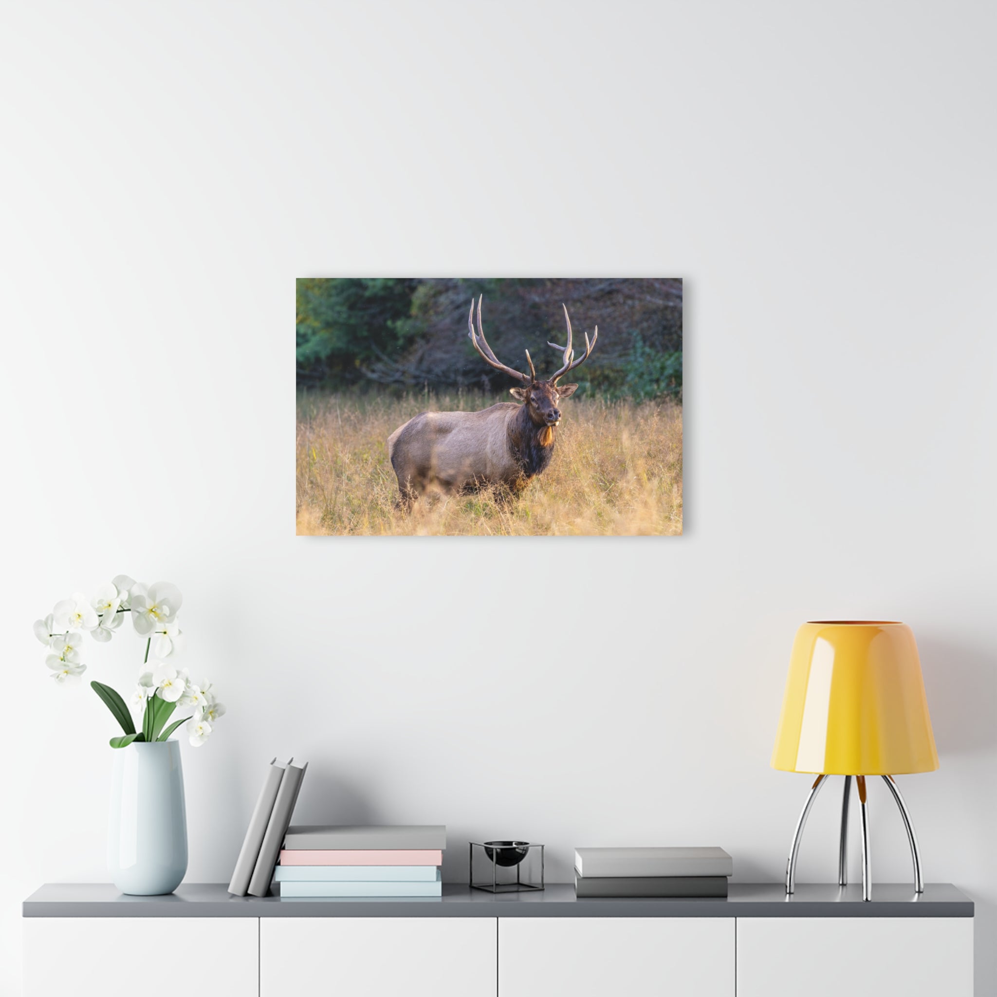 Stunning Acrylic Wall Art Print, Nature Decor, Elk Photography, Rustic Home Decor, Animal Wall Art, Gift for Nature Lovers