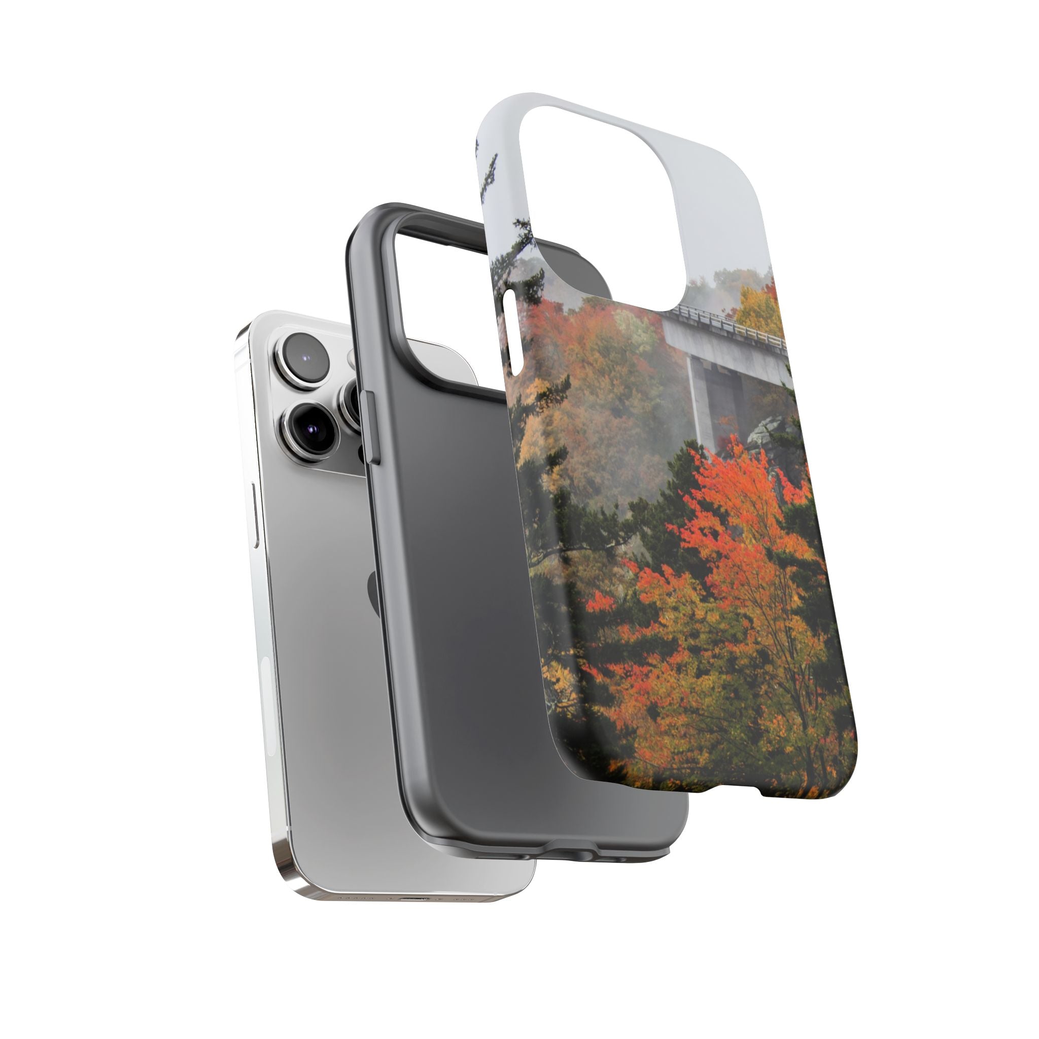 Autumn Landscape Phone Case, Fall Phone Cover, Tough Cases, Nature Lover Gift, Seasonal Decor