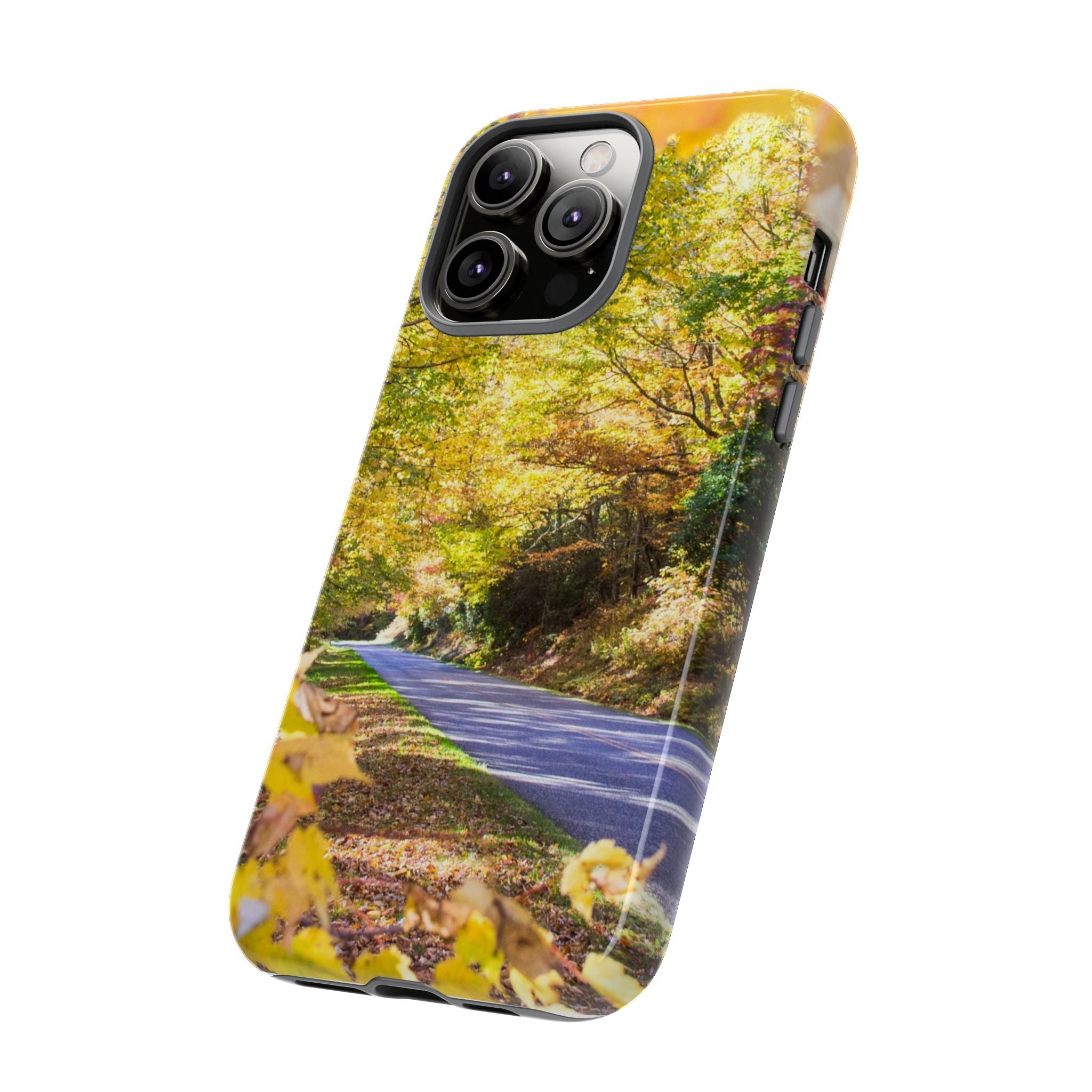 Autumn Landscape Phone Case - Nature Lover Gift, Fall Decor, Eco-Friendly Case, Phone Accessory for Hiking Enthusiasts