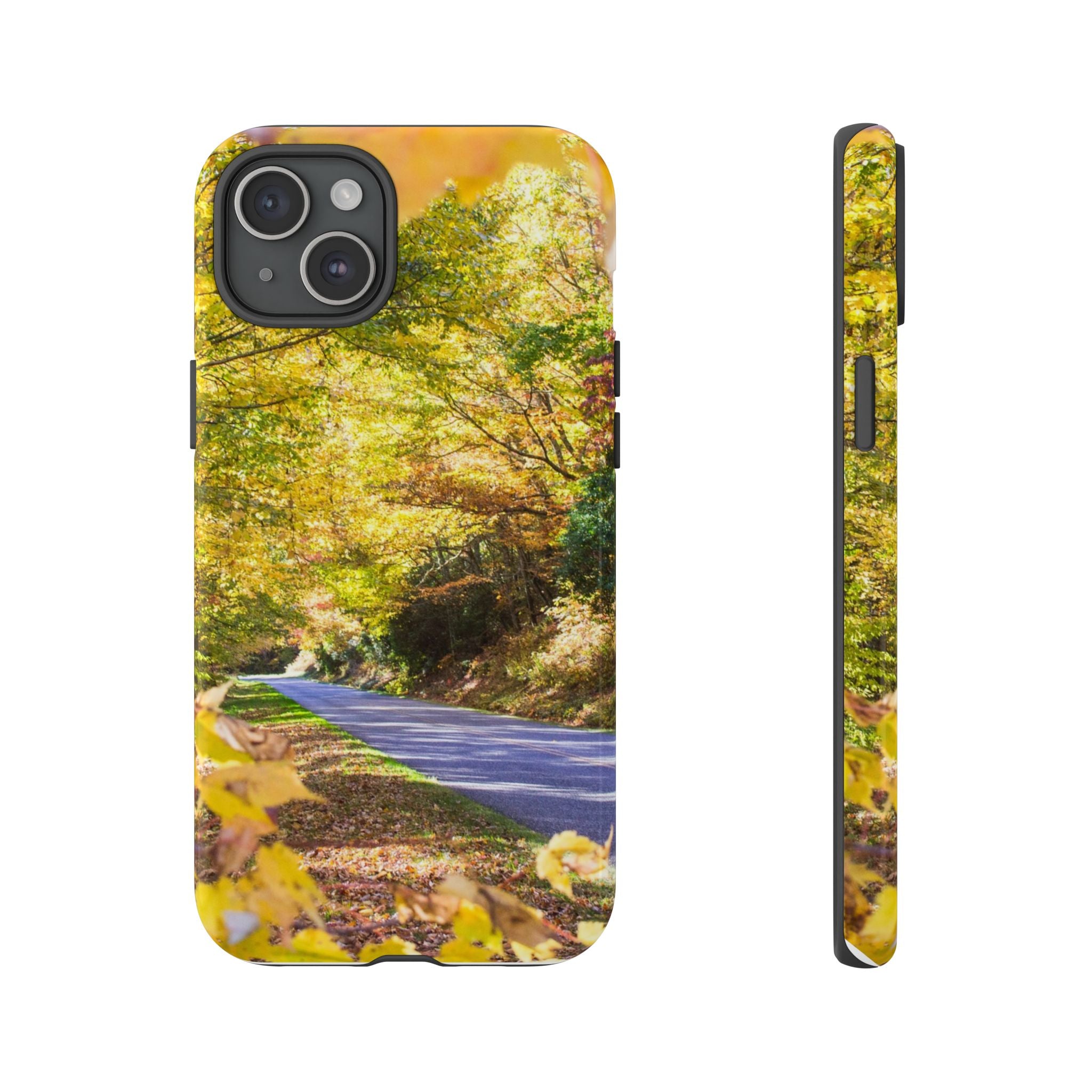 Autumn Landscape Phone Case - Nature Lover Gift, Fall Decor, Eco-Friendly Case, Phone Accessory for Hiking Enthusiasts