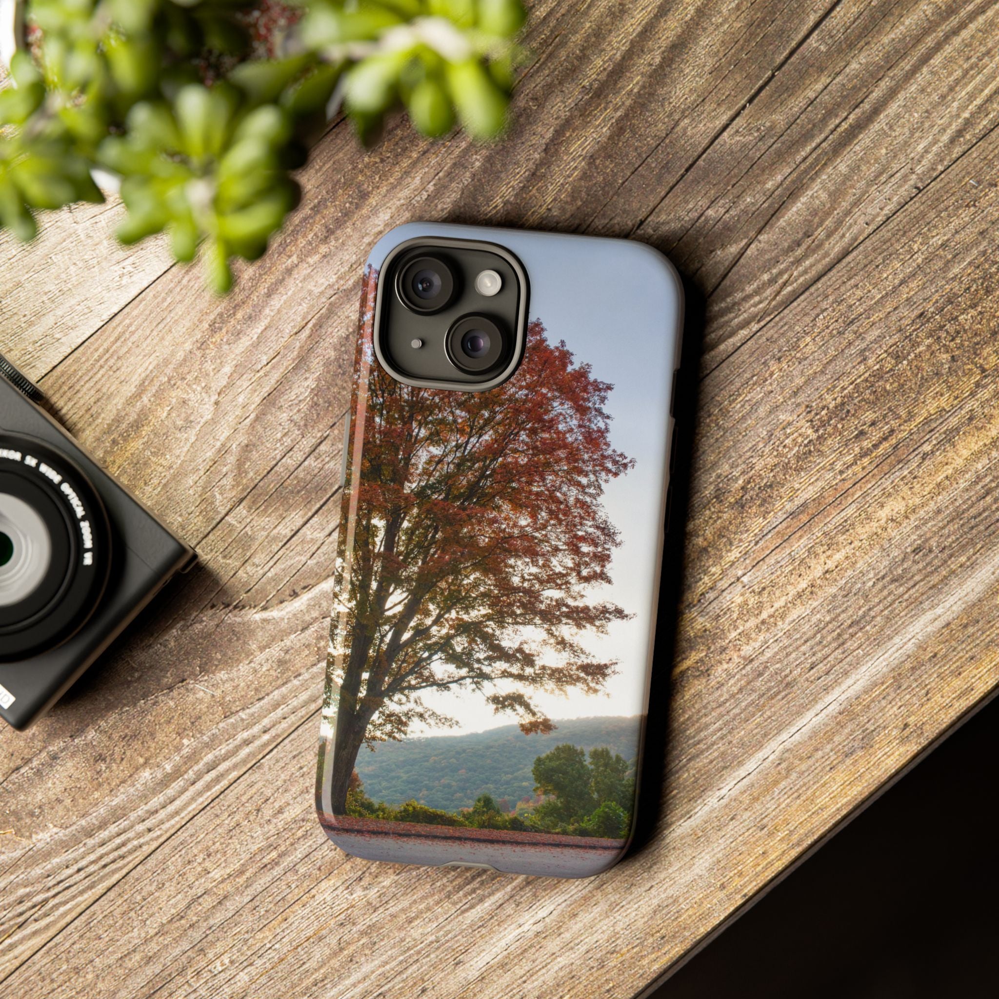 Fall Tree Phone Case, Autumn Phone Cover, Nature Lover Gift, iPhone Case, Custom Tough Cases