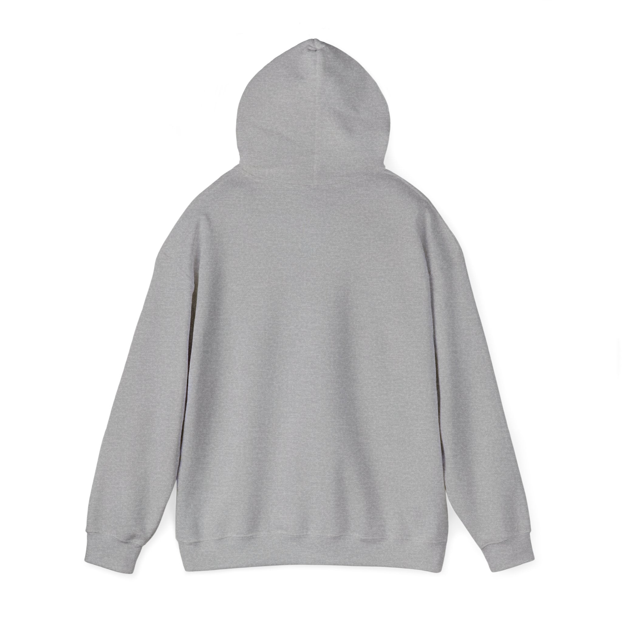 Fleece Hoodie - Fall Color in the Blue Ridge Mountains Graphic