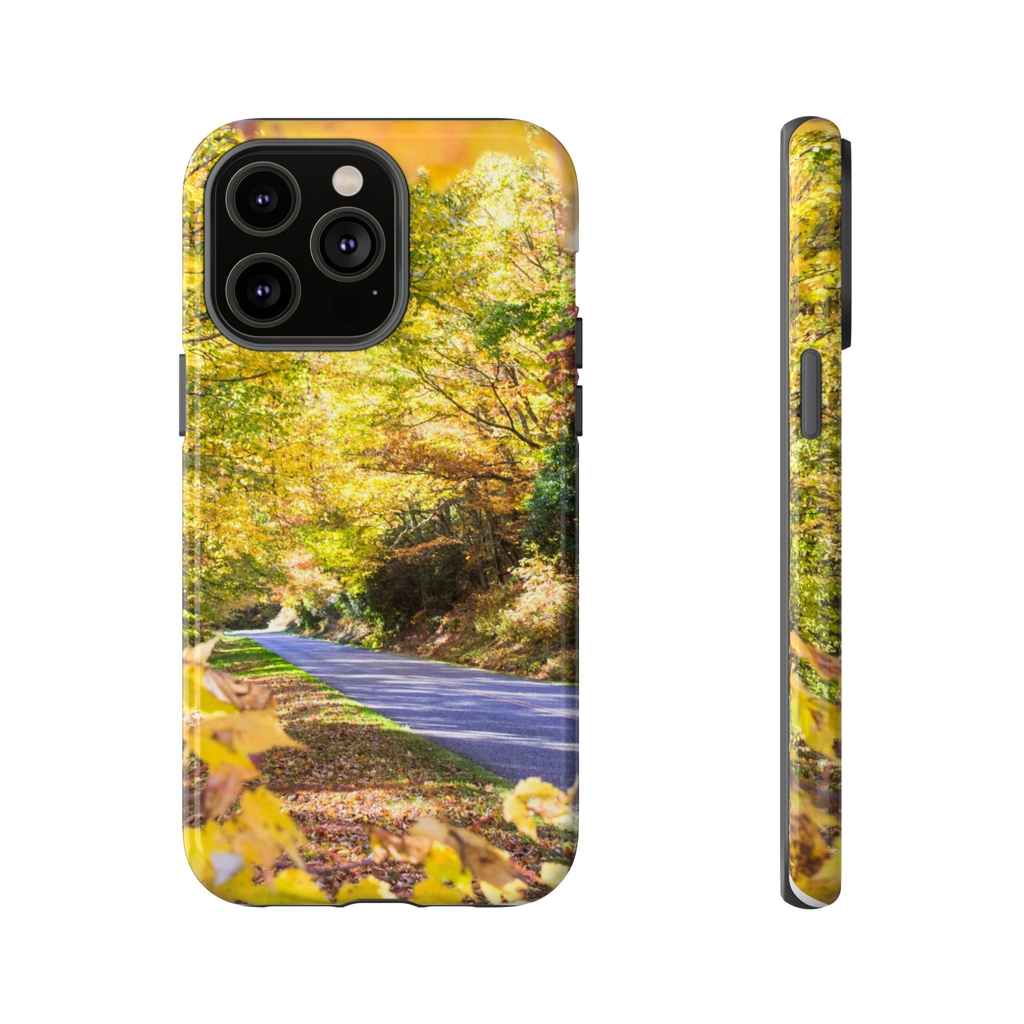 Autumn Landscape Phone Case - Nature Lover Gift, Fall Decor, Eco-Friendly Case, Phone Accessory for Hiking Enthusiasts