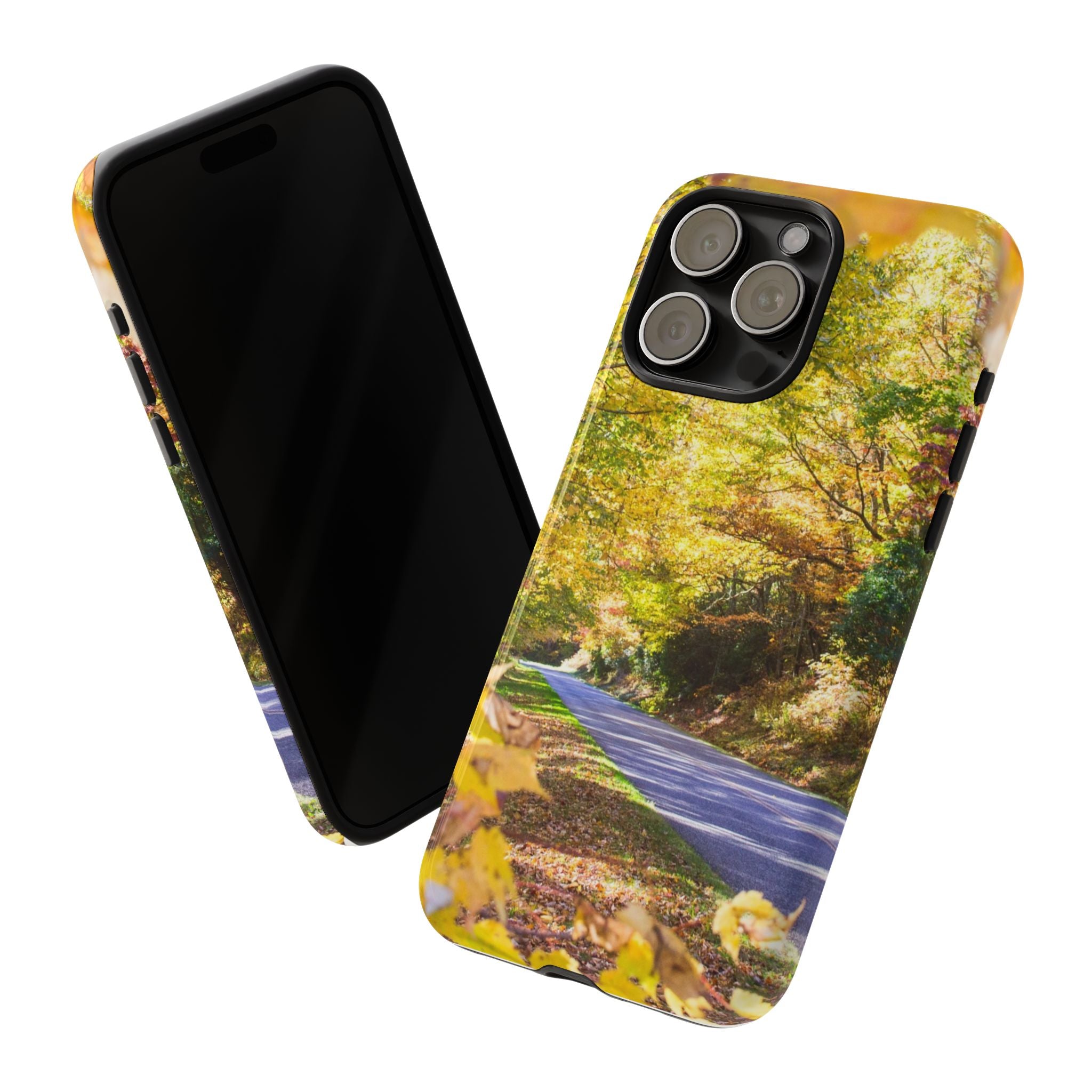 Autumn Landscape Phone Case - Nature Lover Gift, Fall Decor, Eco-Friendly Case, Phone Accessory for Hiking Enthusiasts