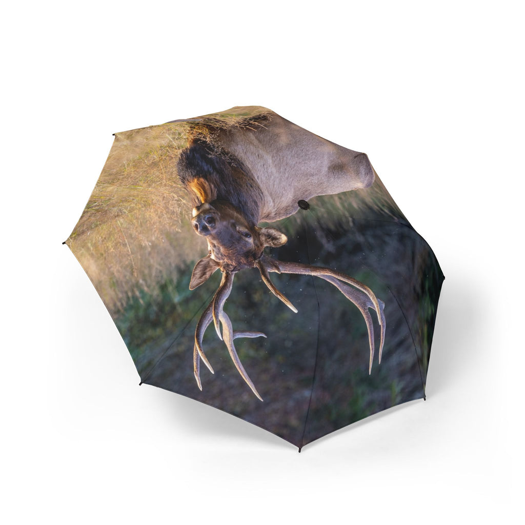 Nature-Inspired Folding Umbrella, Outdoor Gear for Rainy Days, Gift for Nature Lovers, Compact Travel Umbrella, Wildlife Print Umbrella
