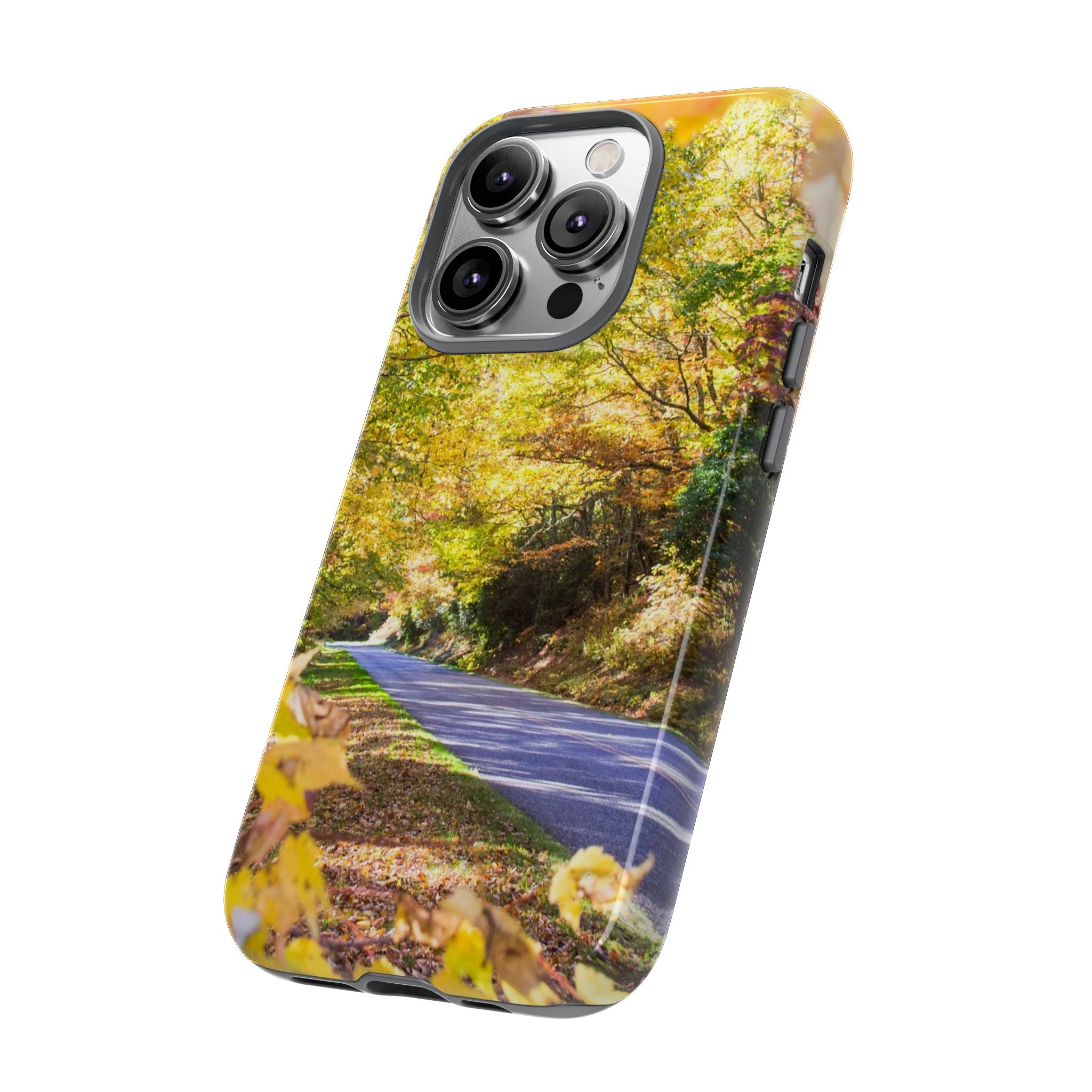 Autumn Landscape Phone Case - Nature Lover Gift, Fall Decor, Eco-Friendly Case, Phone Accessory for Hiking Enthusiasts