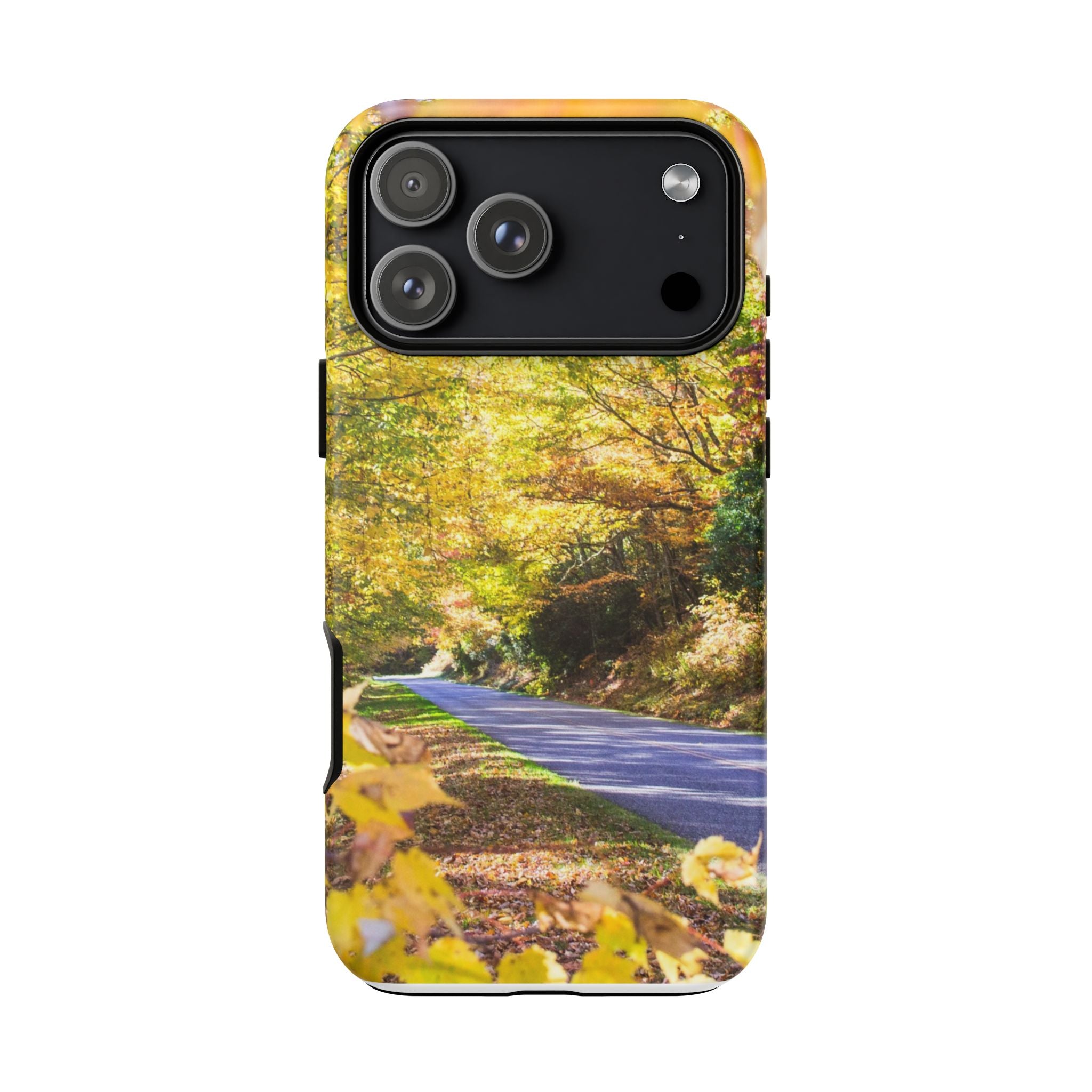 Autumn Landscape Phone Case - Nature Lover Gift, Fall Decor, Eco-Friendly Case, Phone Accessory for Hiking Enthusiasts